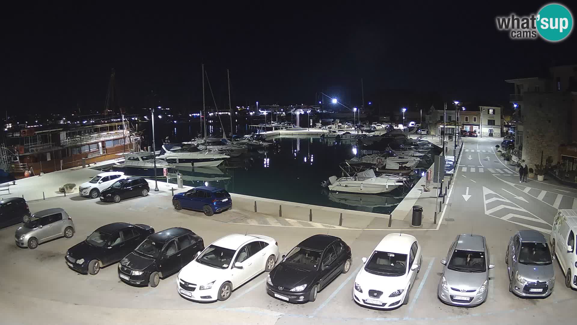 Novigrad | Porporela marina