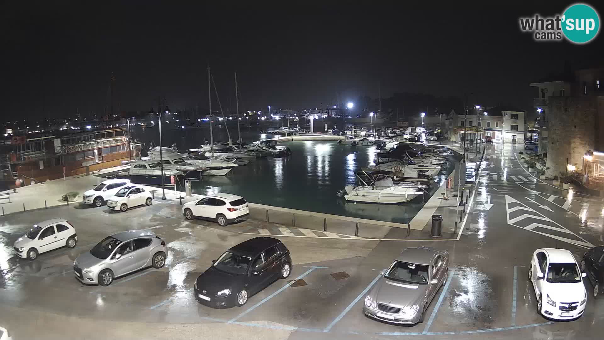 Novigrad | Porporela marina