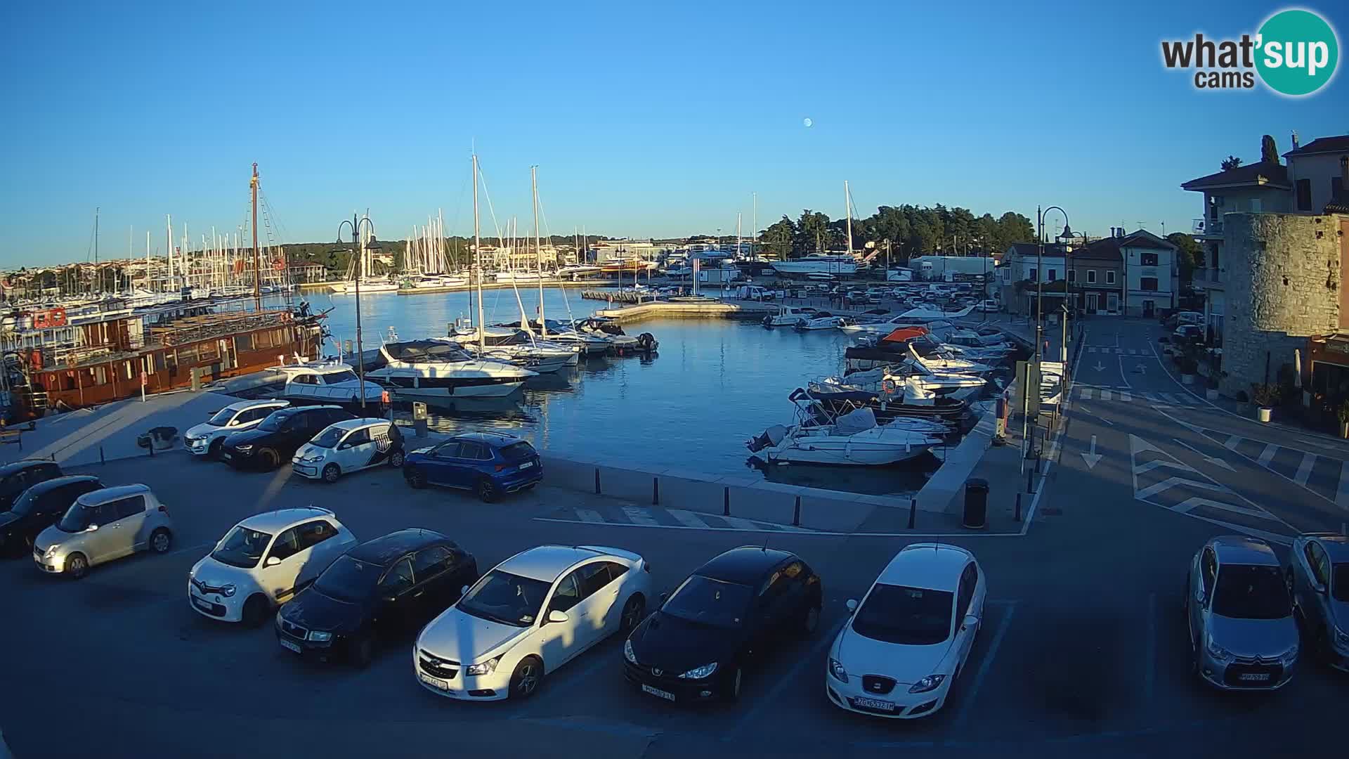 Novigrad | Porporela marina