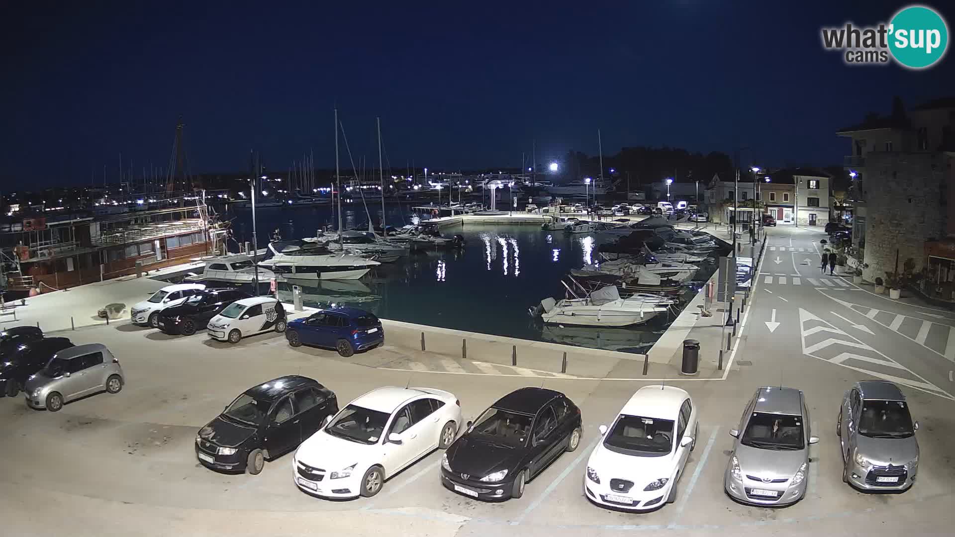 Novigrad | Porporela marina