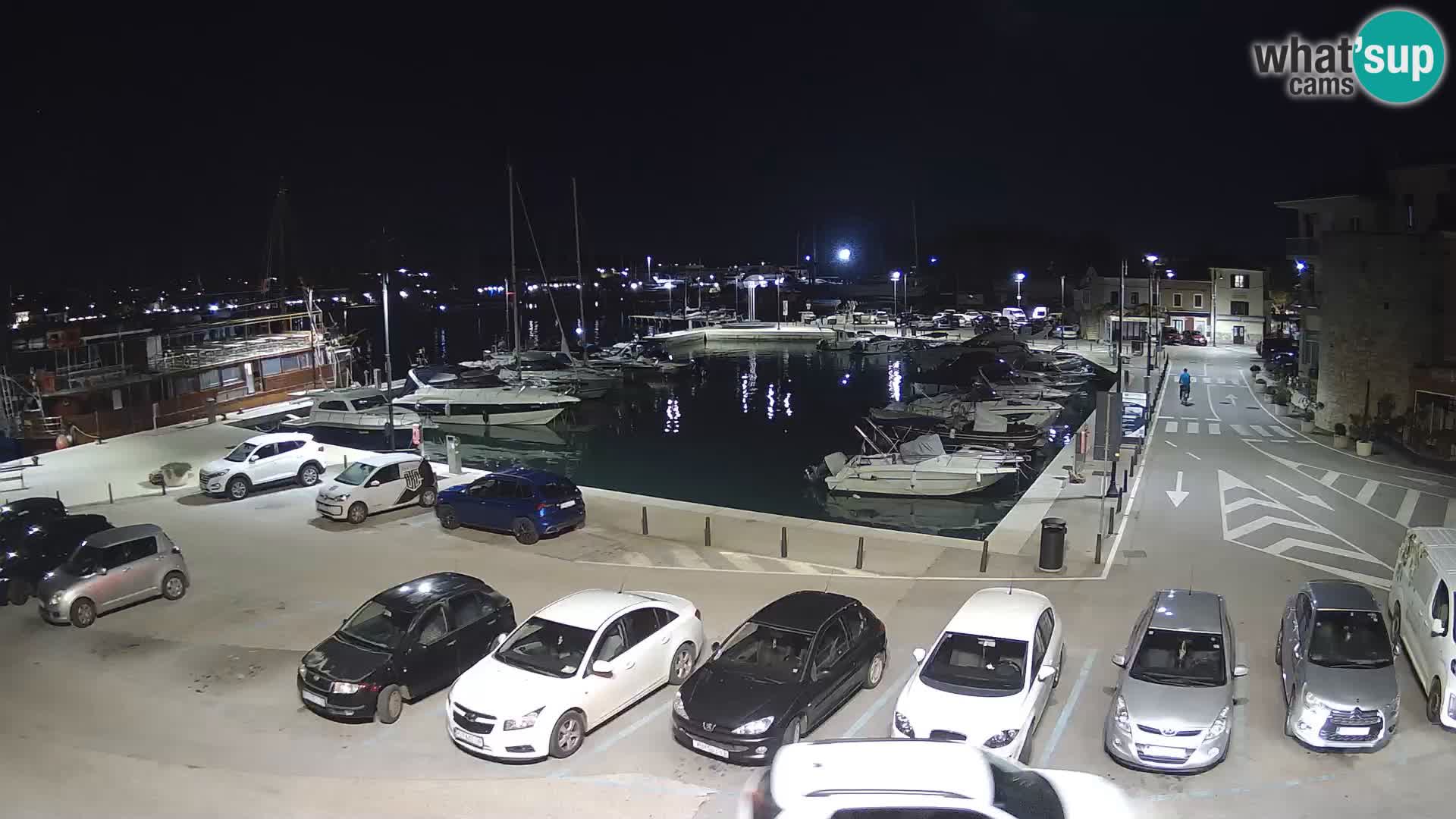 Novigrad | Porporela marina