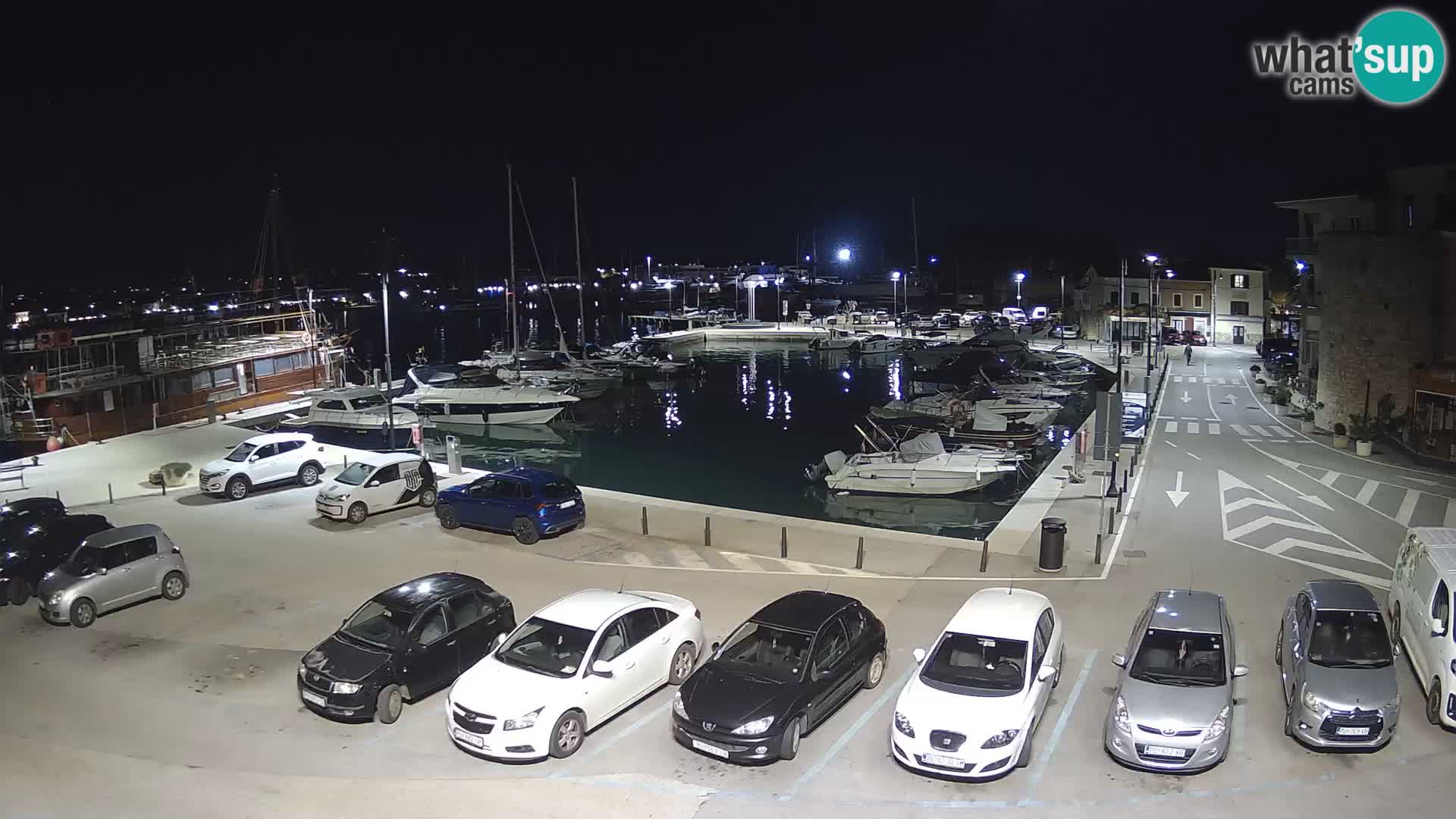 Novigrad | Porporela marina