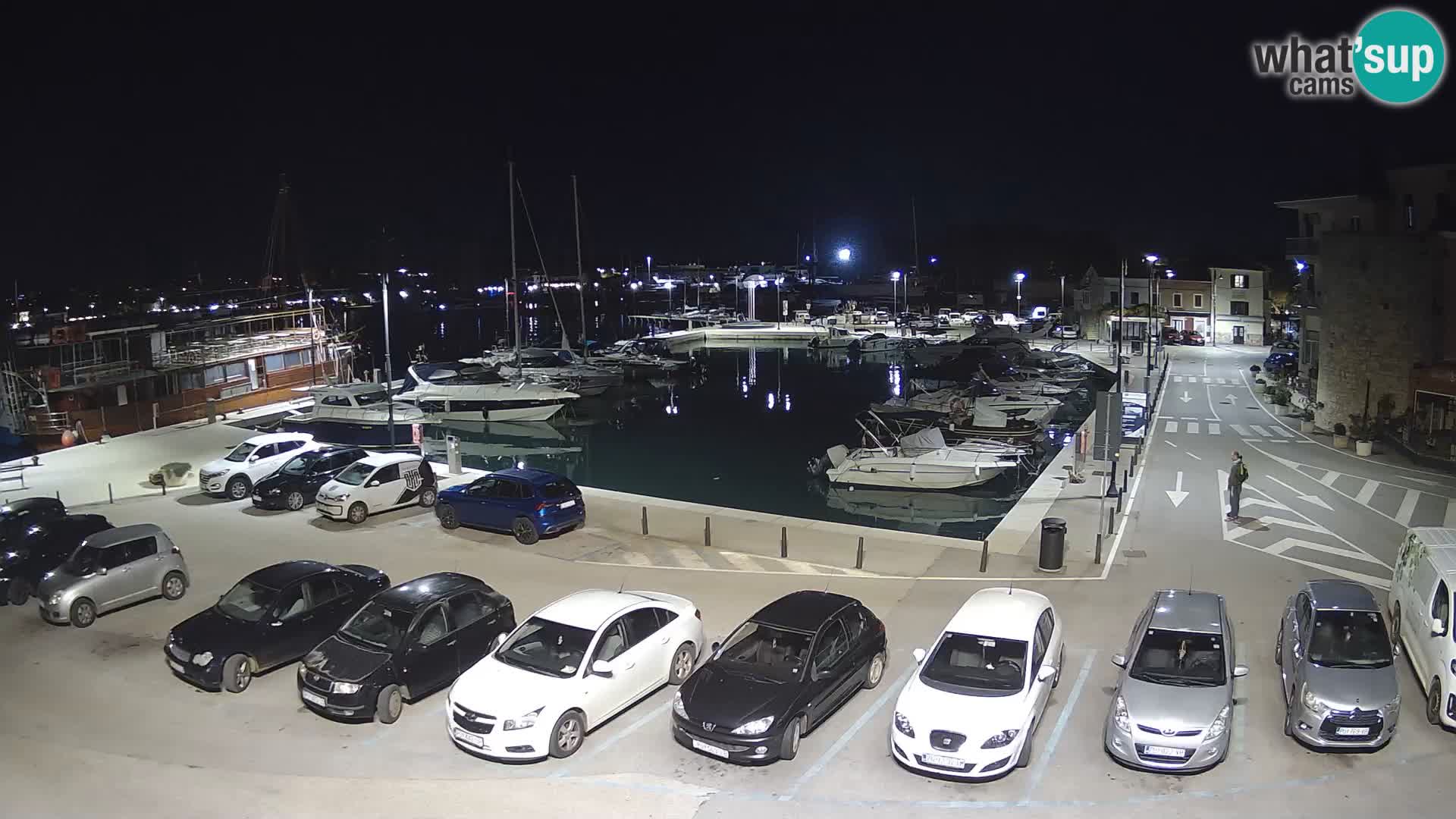 Novigrad | Porporela marina