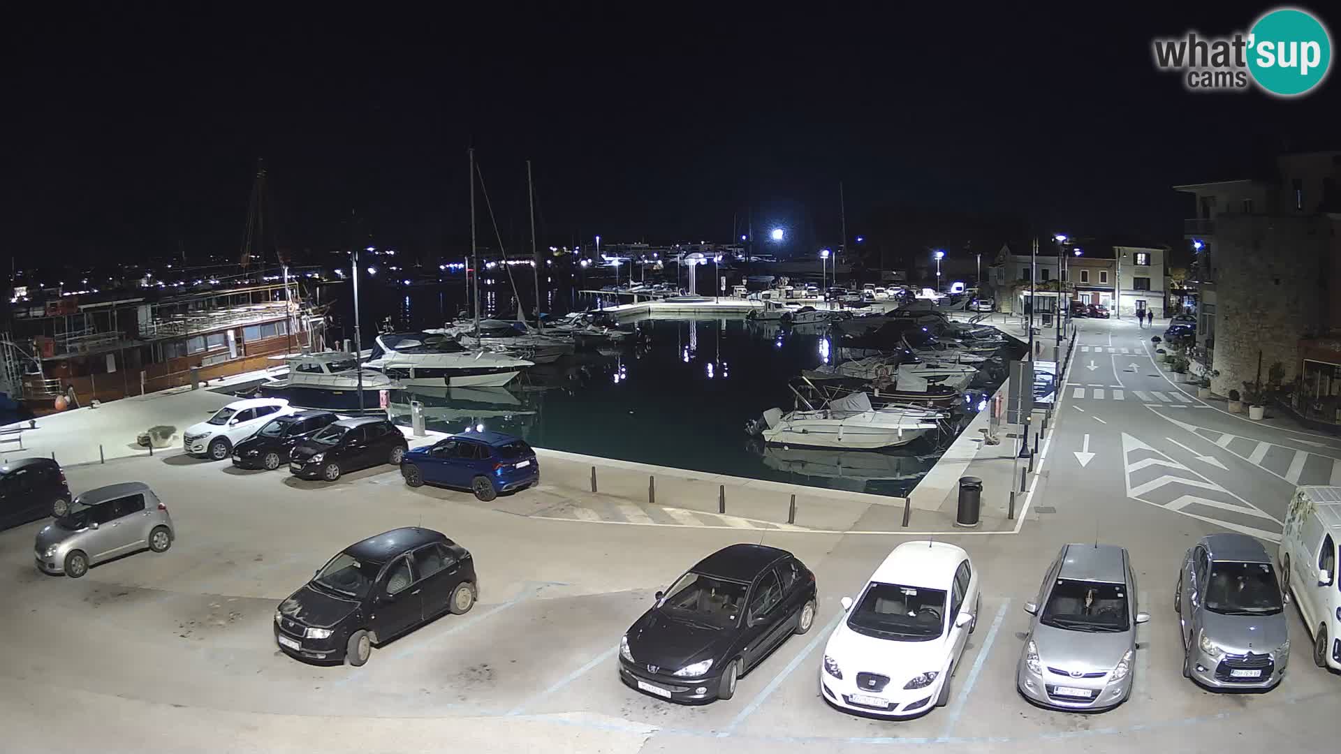 Novigrad | Porporela marina