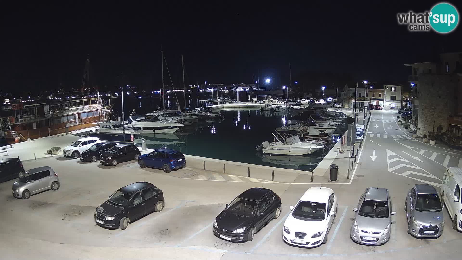Novigrad | Porporela marina