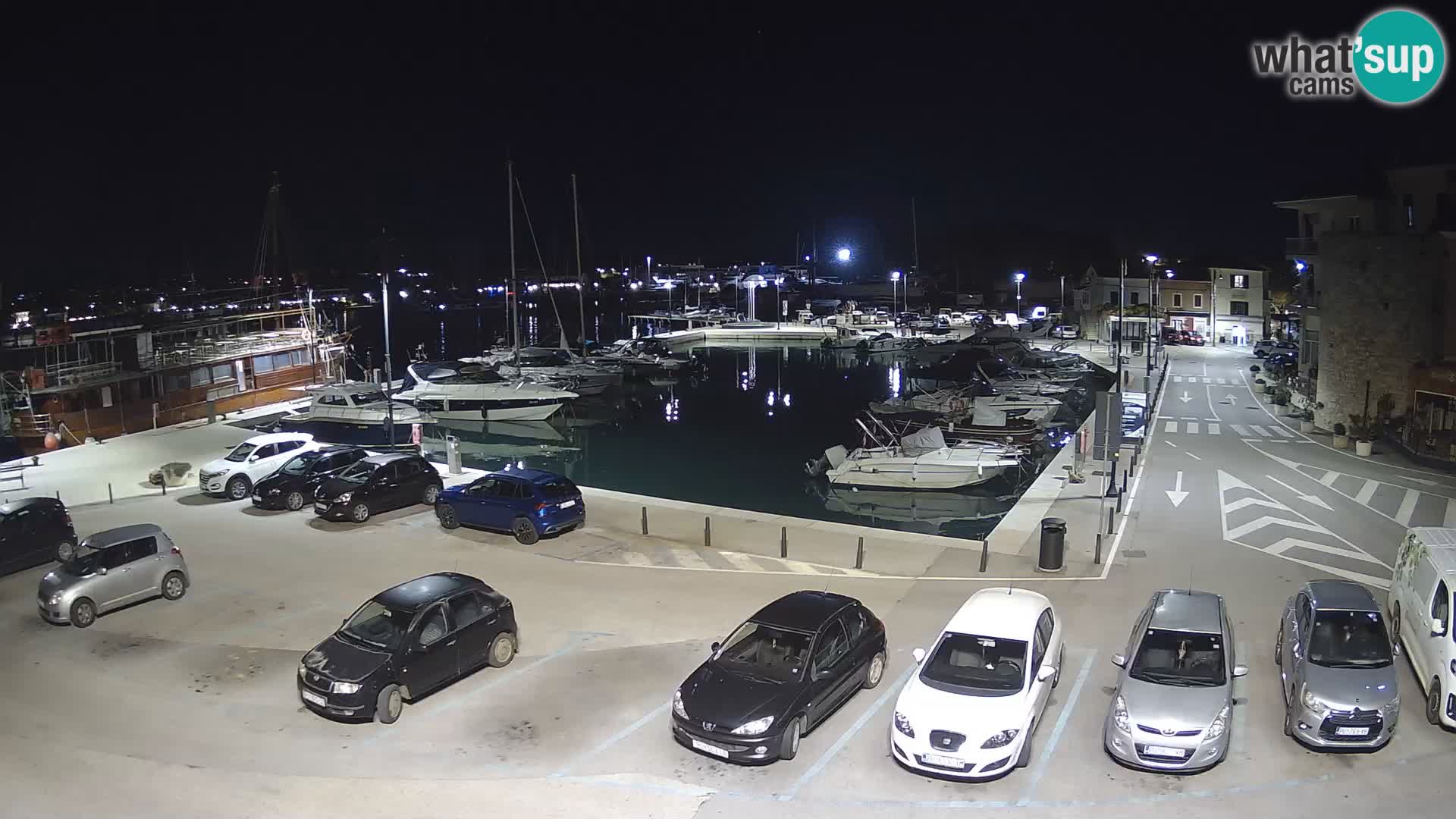 Novigrad | Porporela marina
