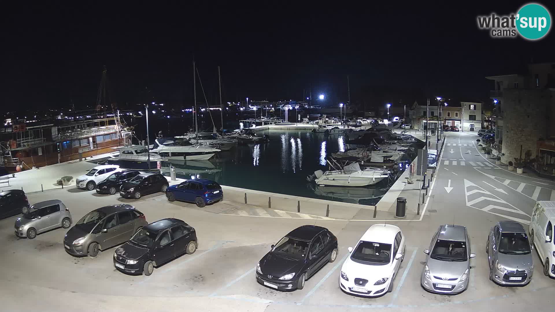 Novigrad | Porporela marina