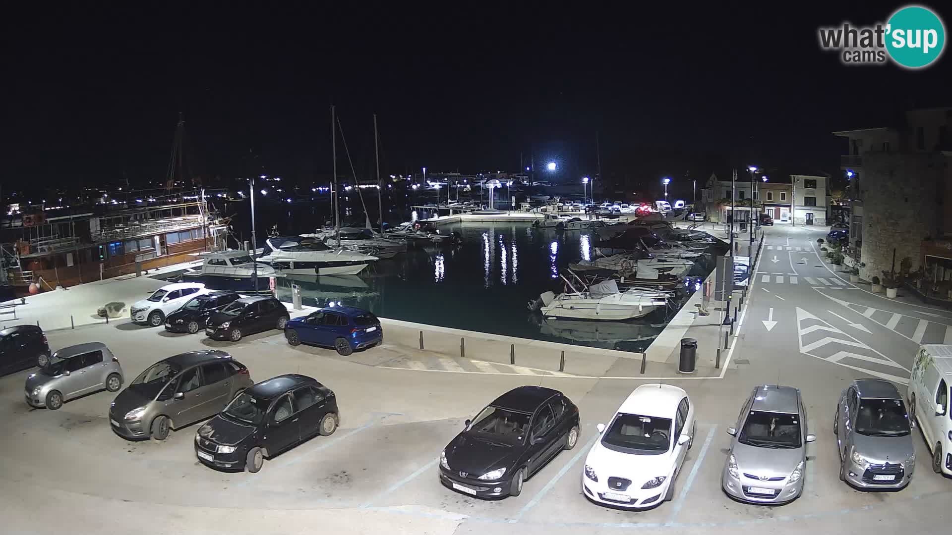 Novigrad | Porporela marina