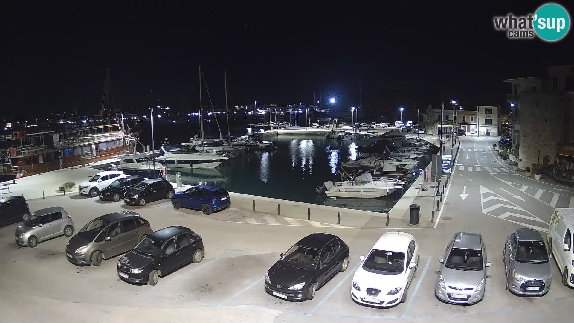 Novigrad | Porporela marina