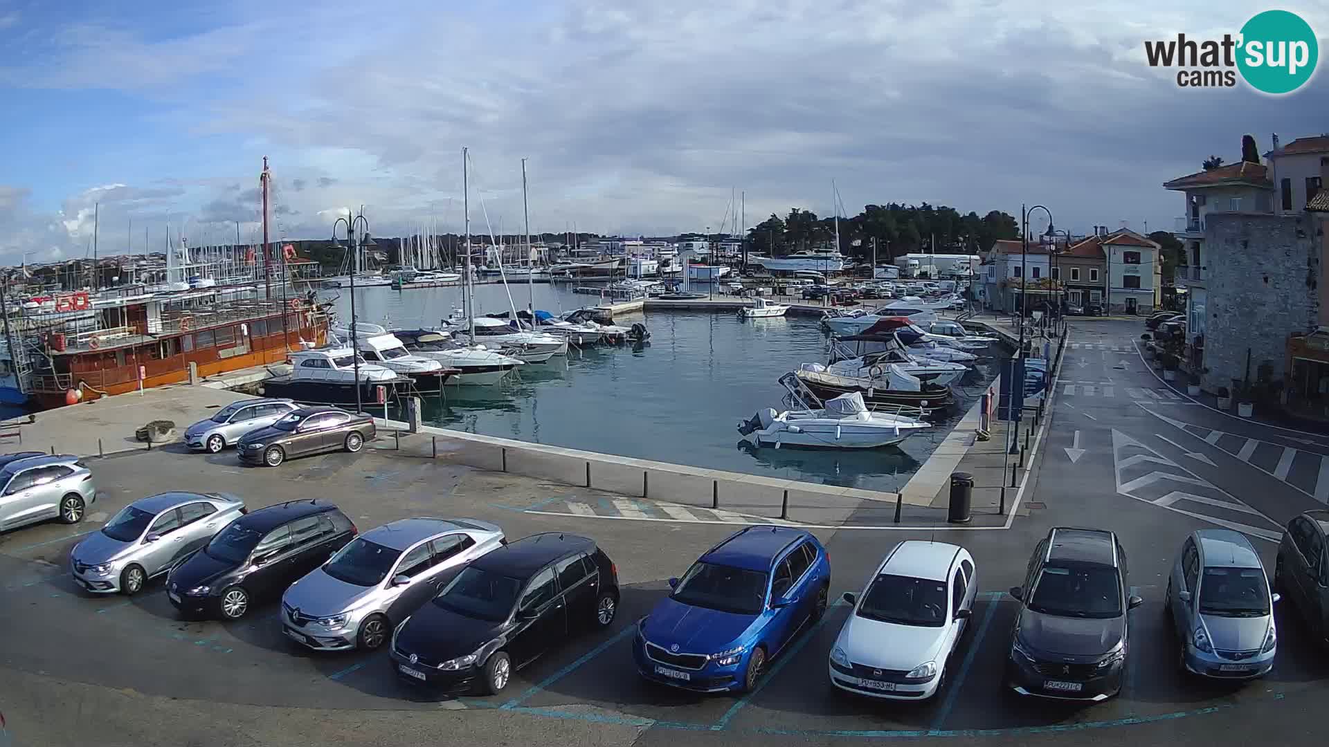 Novigrad | Porporela marina