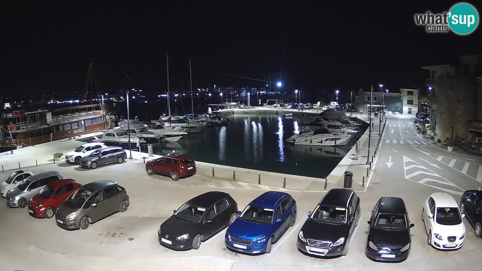 Novigrad | Porporela marina