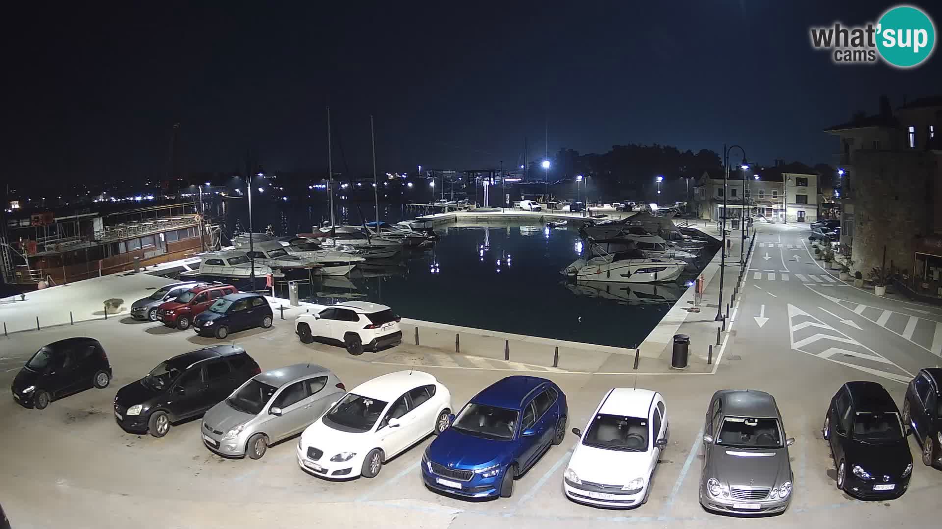 Novigrad | Porporela marina