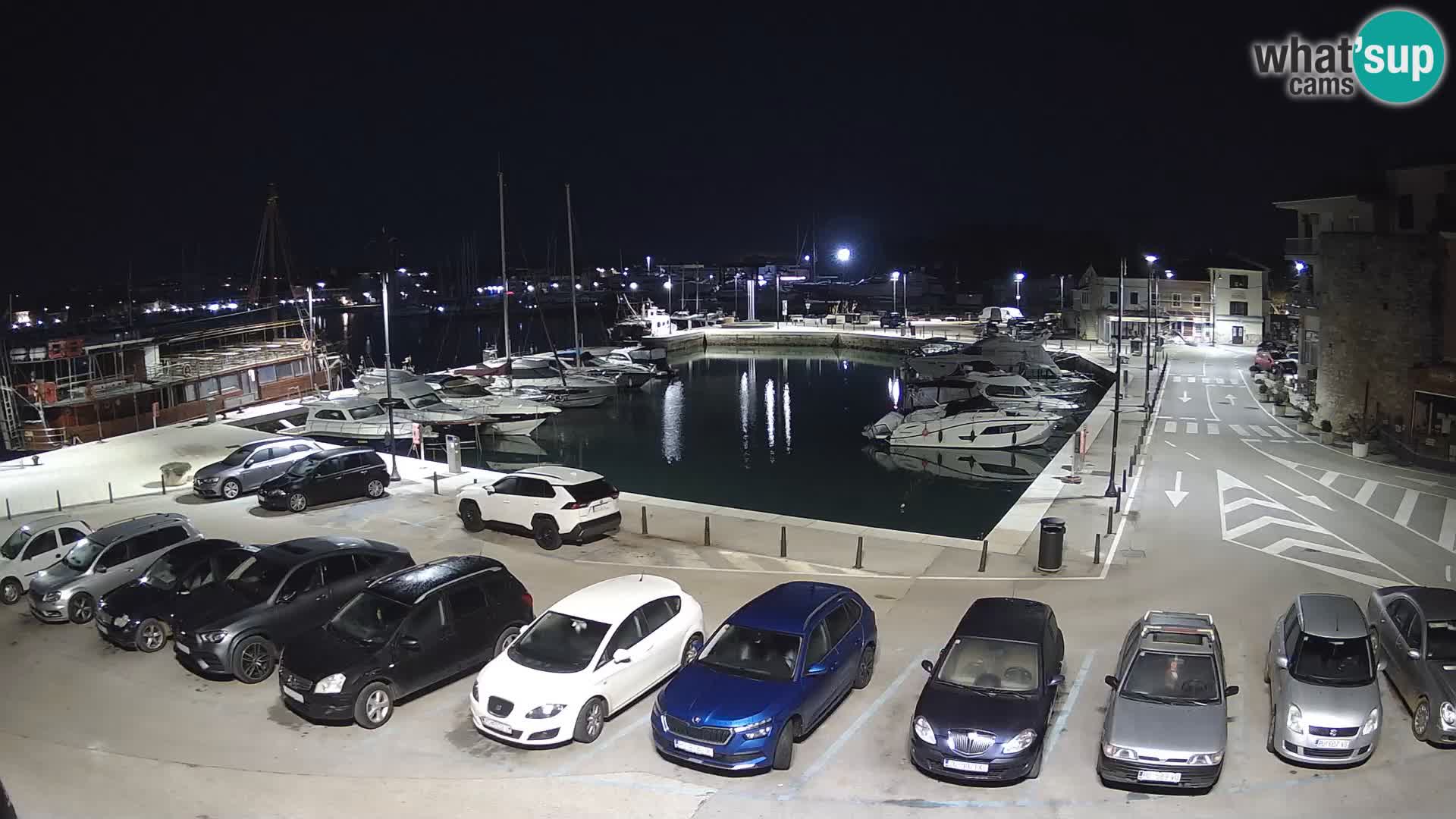 Novigrad | Porporela marina