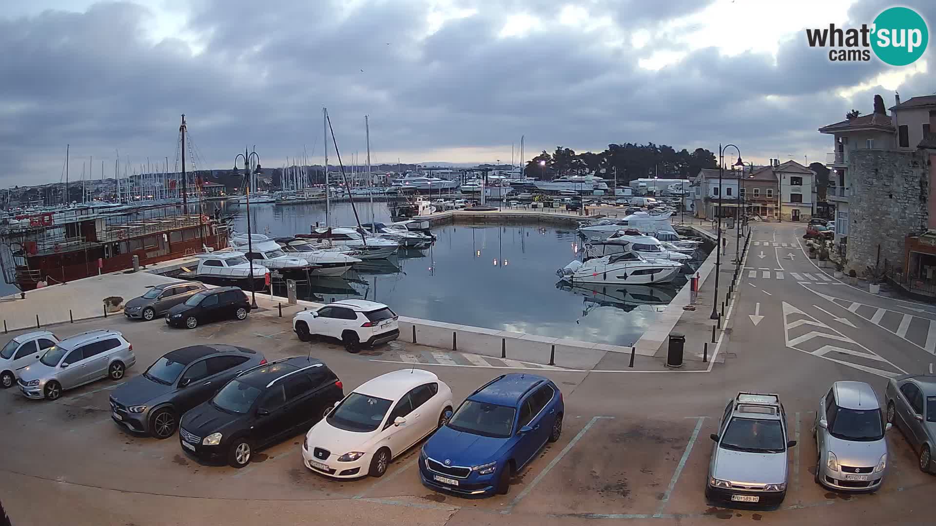 Novigrad | Porporela marina