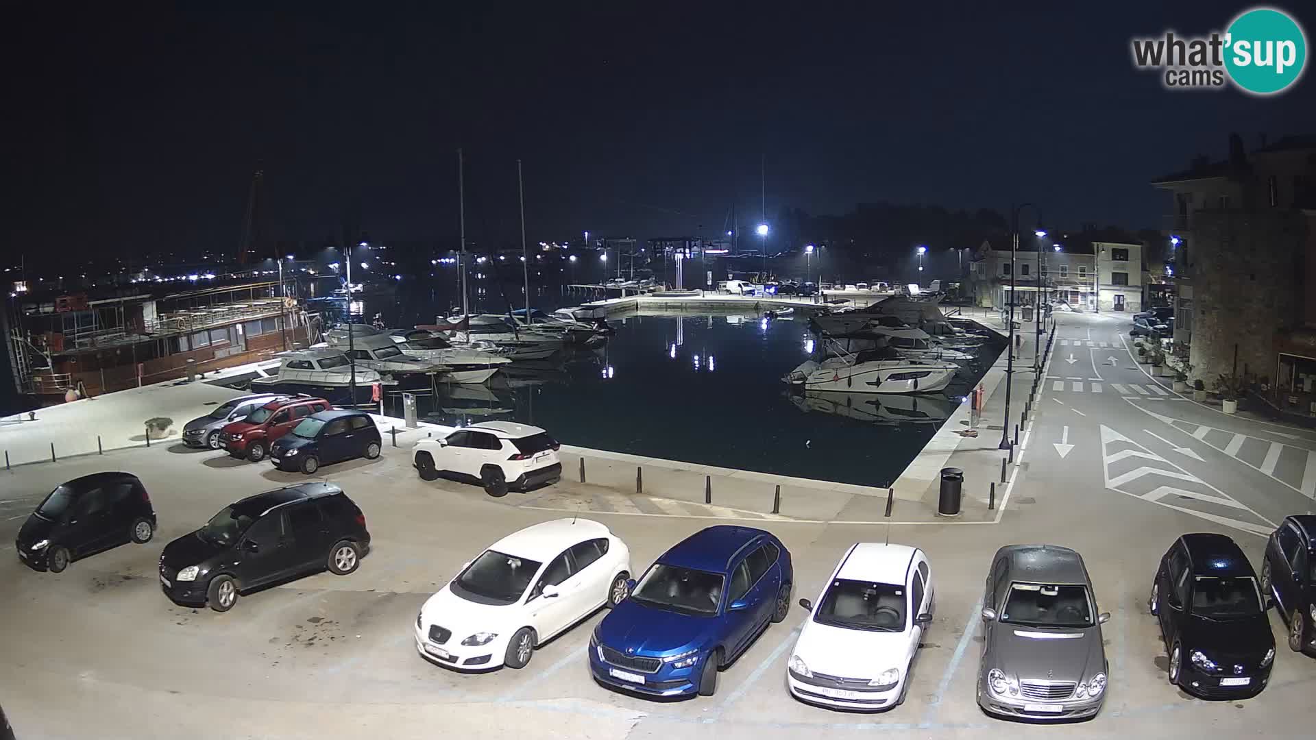 Novigrad | Porporela marina