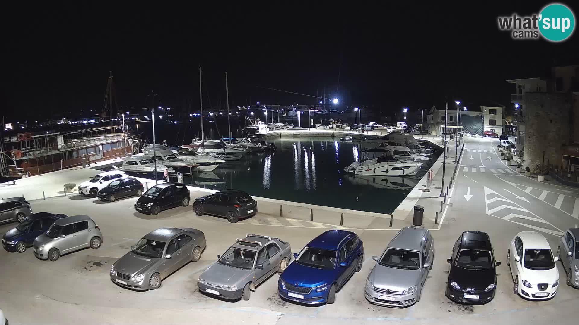 Novigrad | Porporela marina