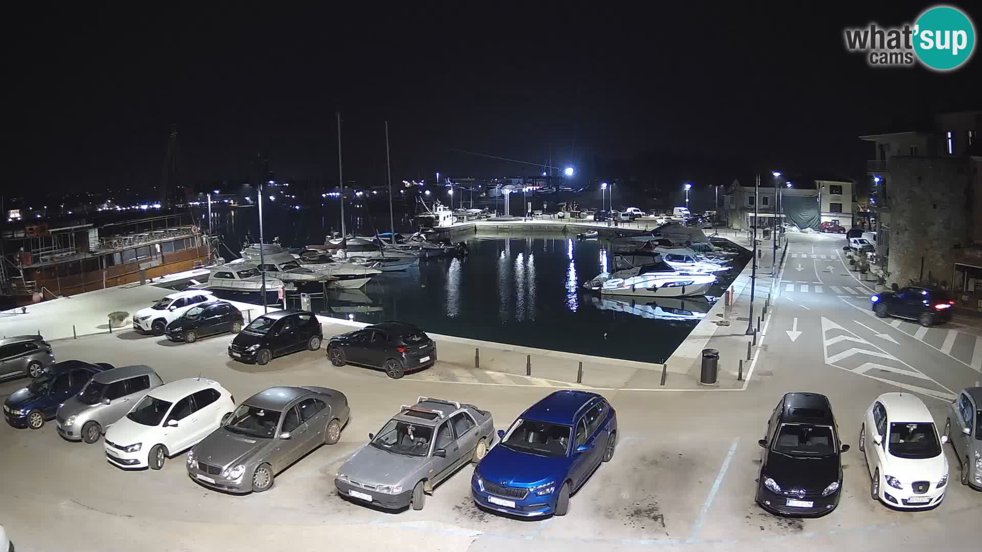 Novigrad | Porporela marina