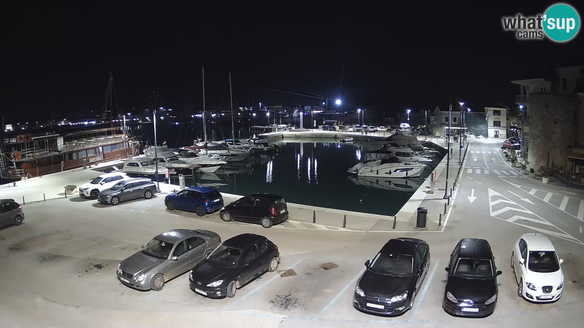 Novigrad | Porporela marina