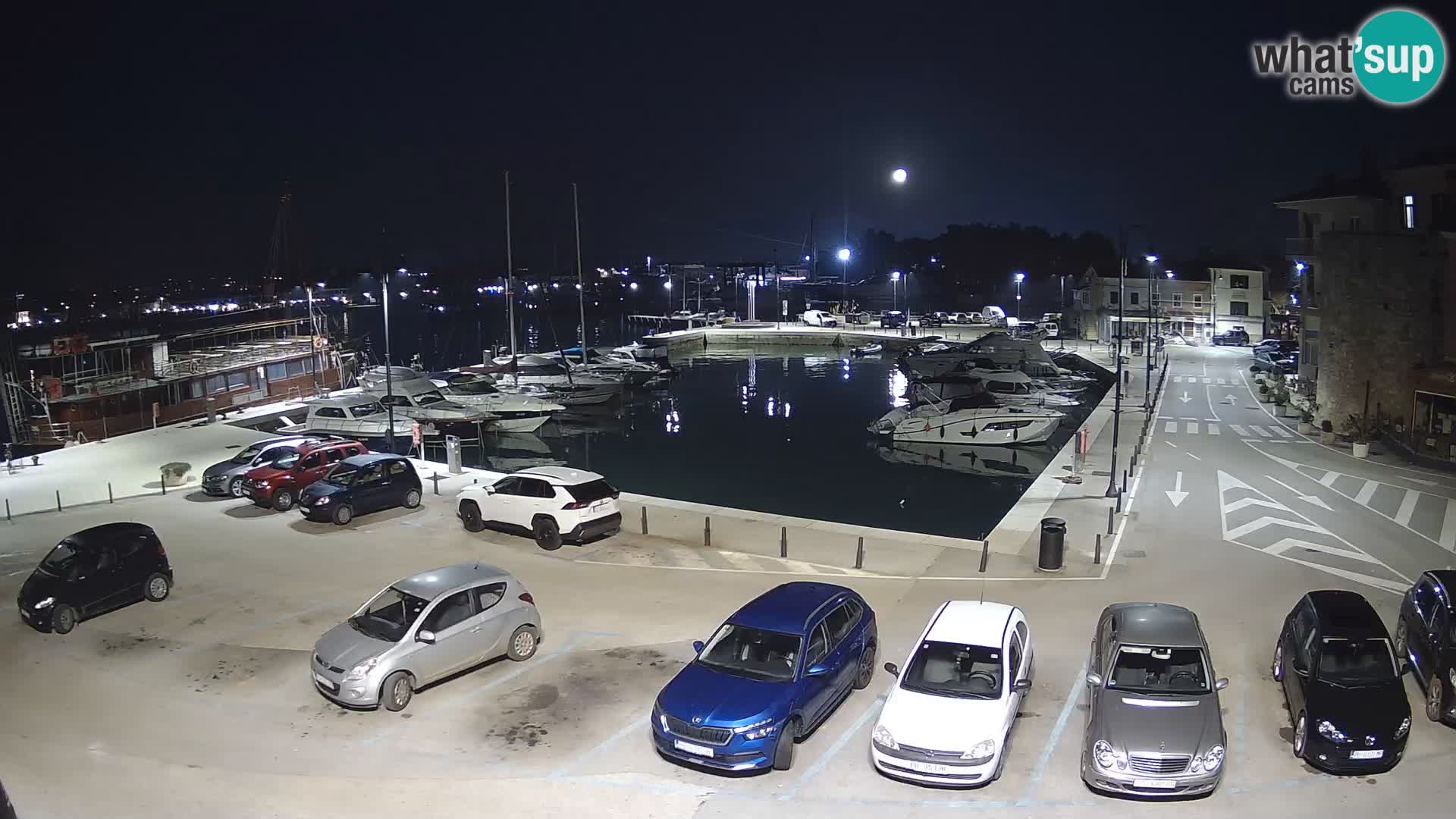 Novigrad | Porporela marina