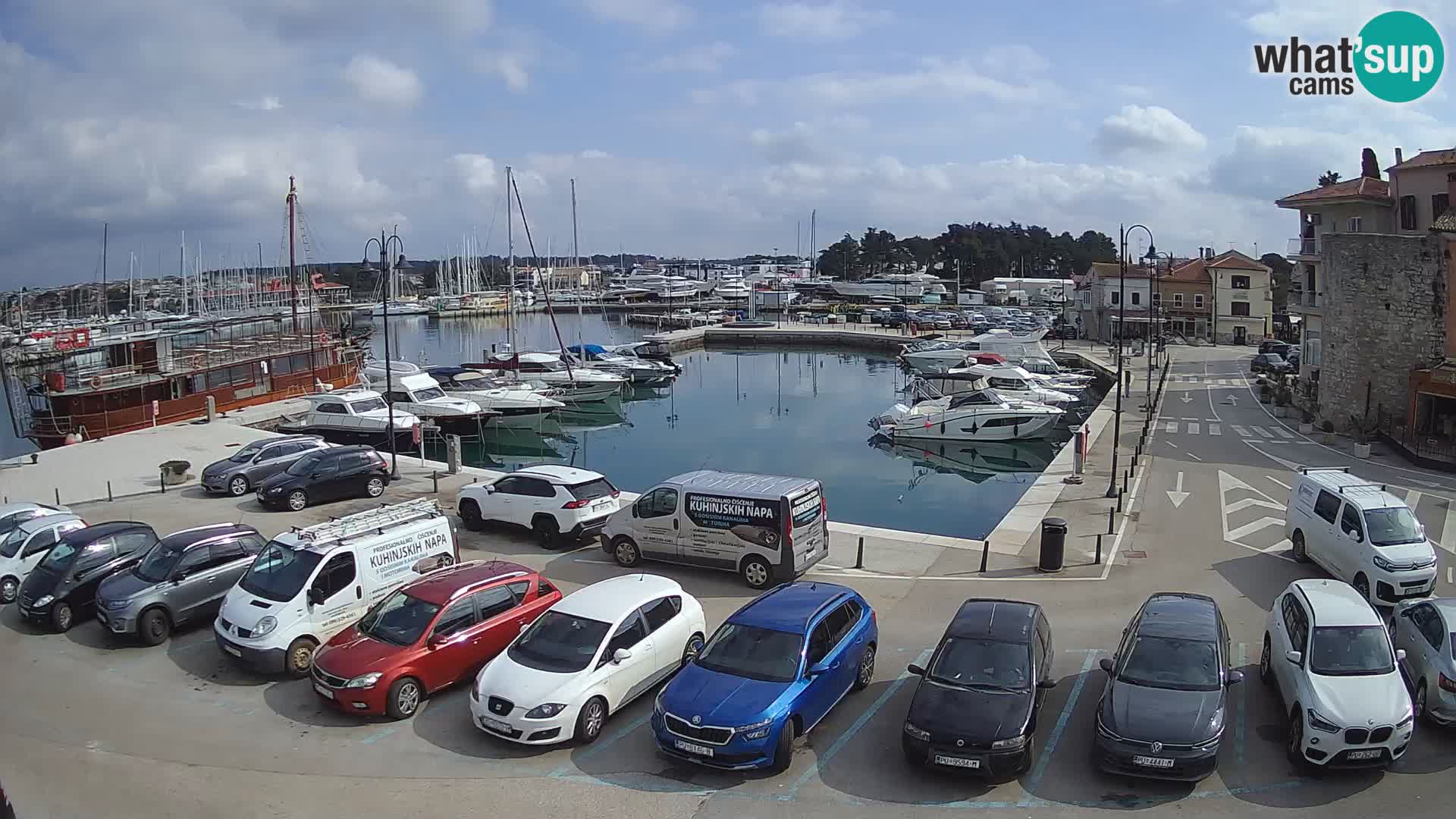 Novigrad | Porporela marina