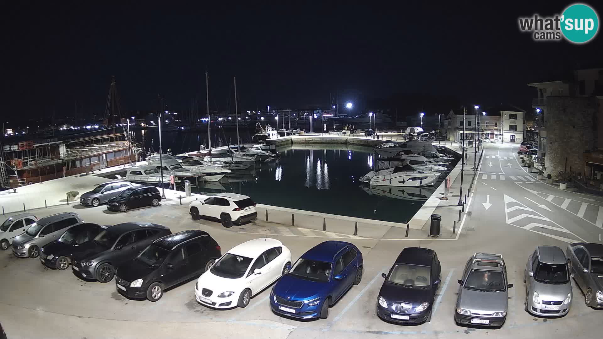 Novigrad | Porporela marina