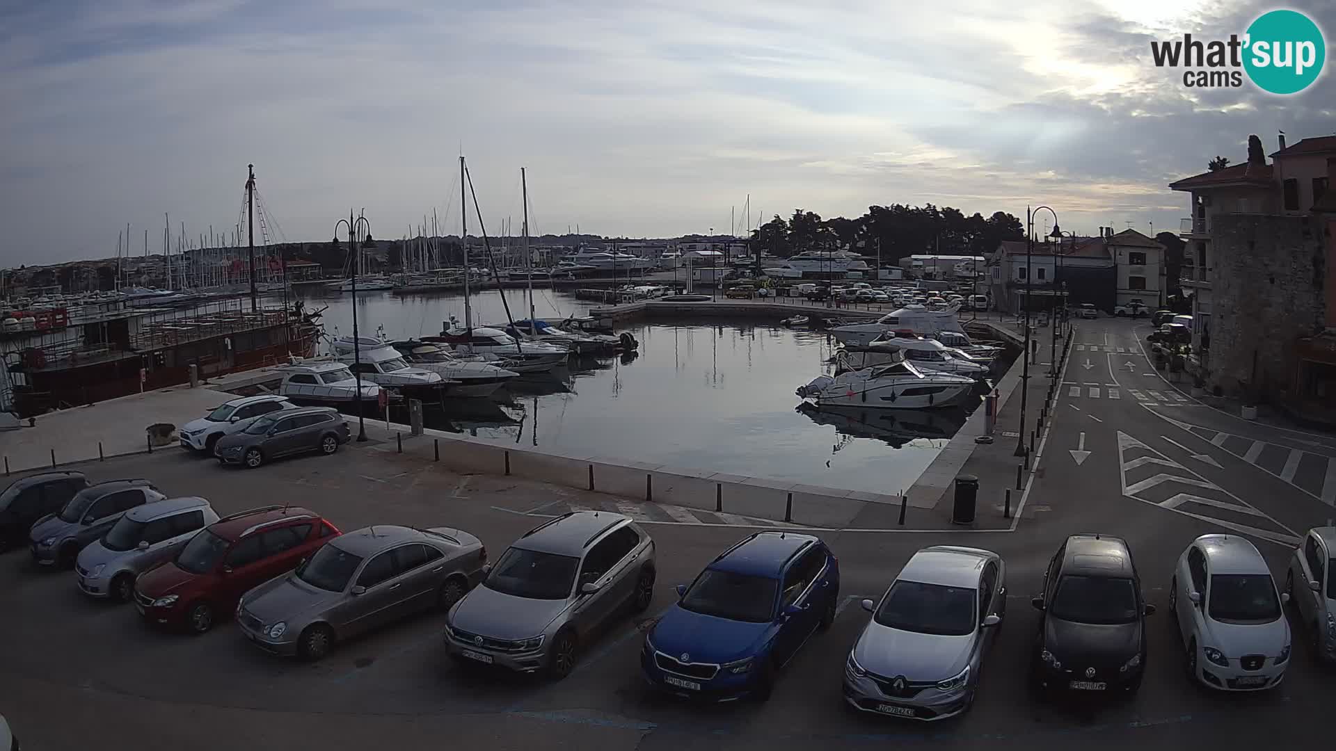 Novigrad | Porporela marina