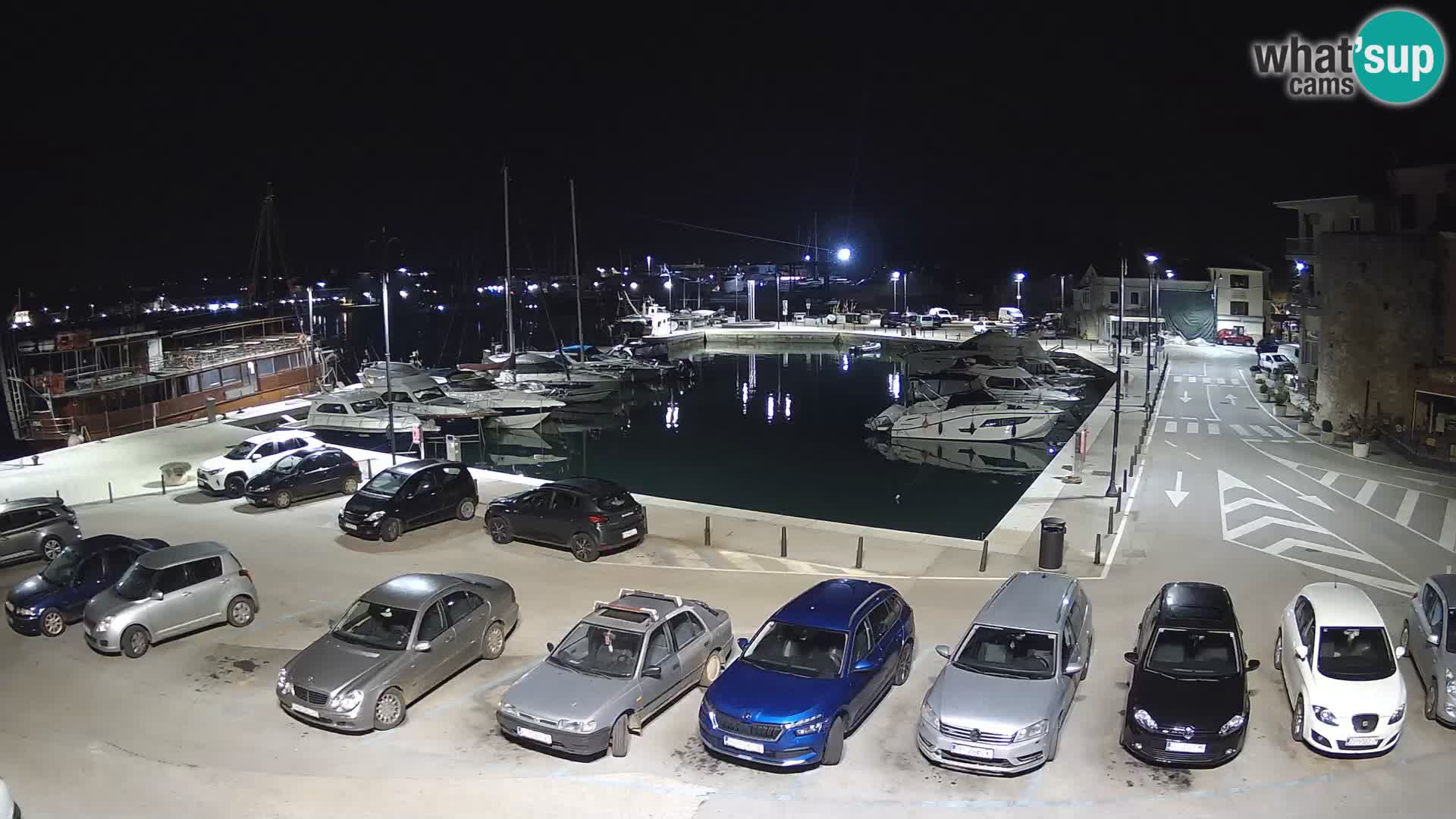 Novigrad | Porporela marina