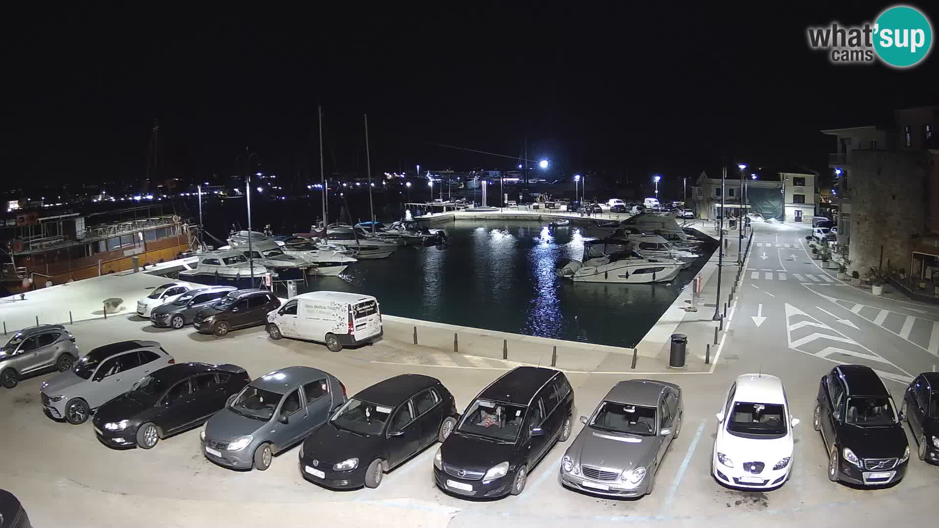 Novigrad | Porporela marina