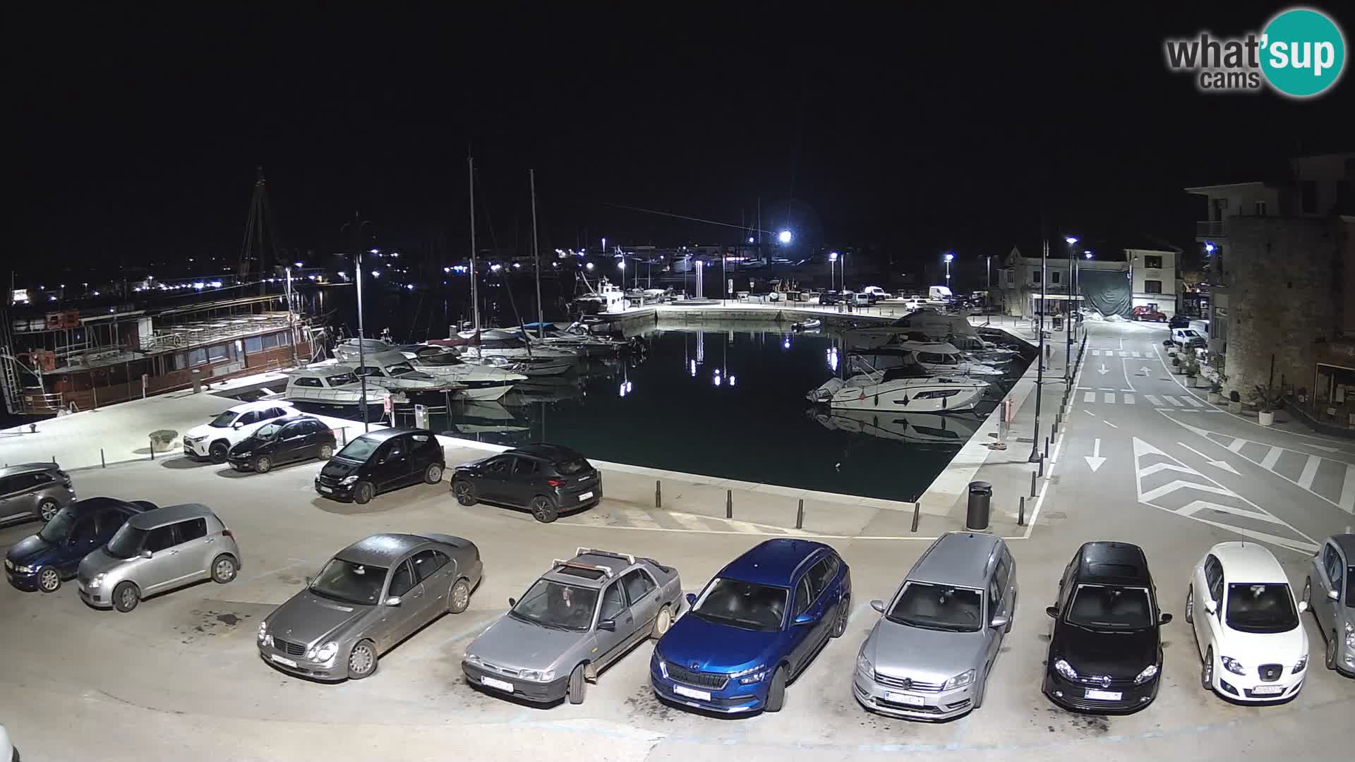 Novigrad | Porporela marina