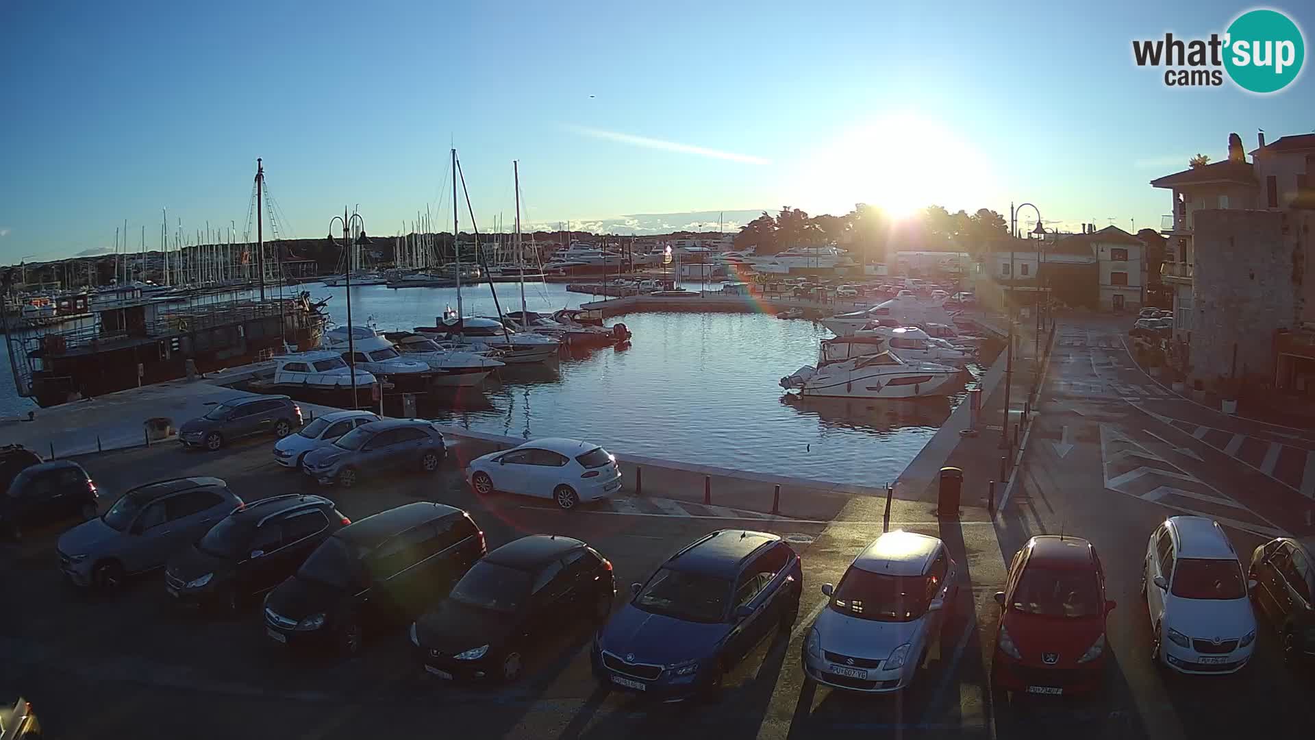 Novigrad | Porporela marina