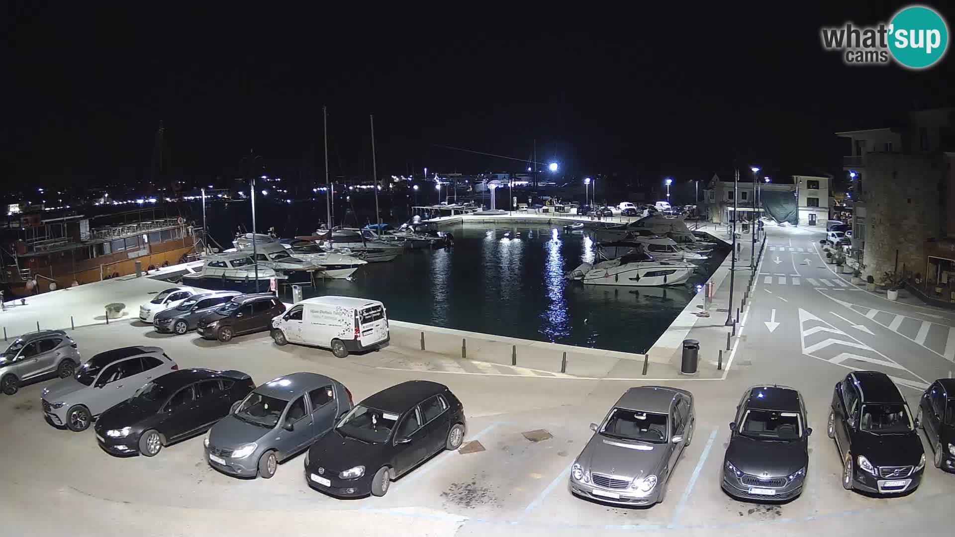 Novigrad | Porporela marina