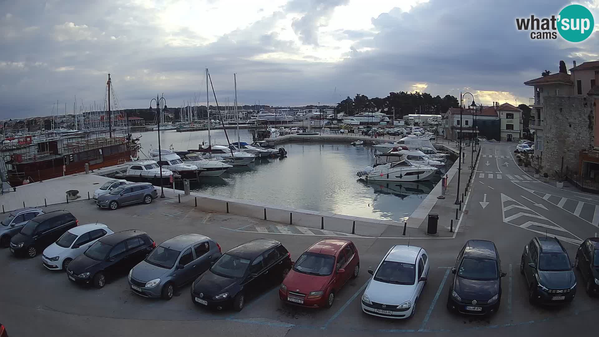 Novigrad | Porporela marina