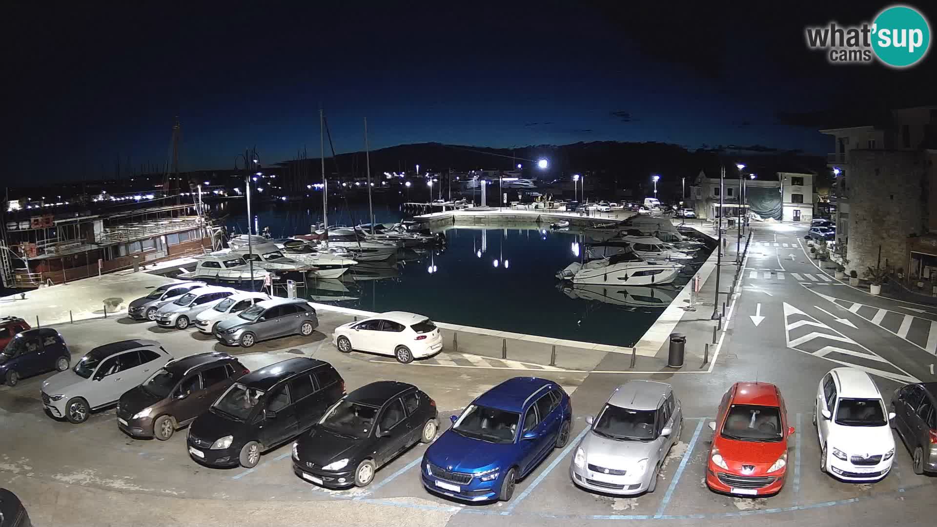 Novigrad | Porporela marina