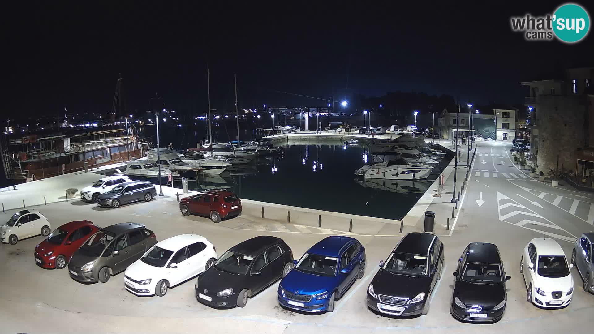 Novigrad | Porporela marina