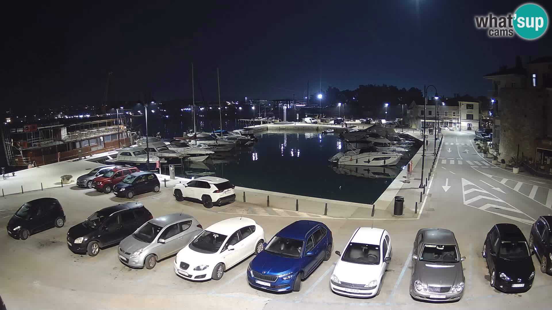 Novigrad | Porporela marina