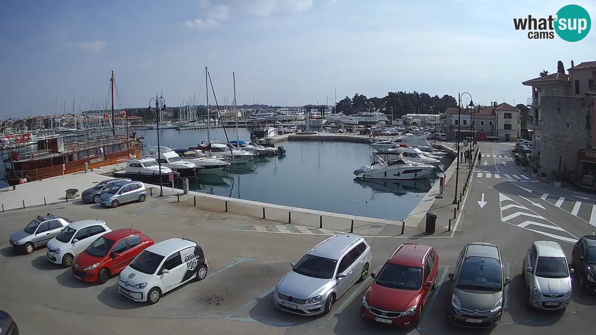 Novigrad | Porporela marina
