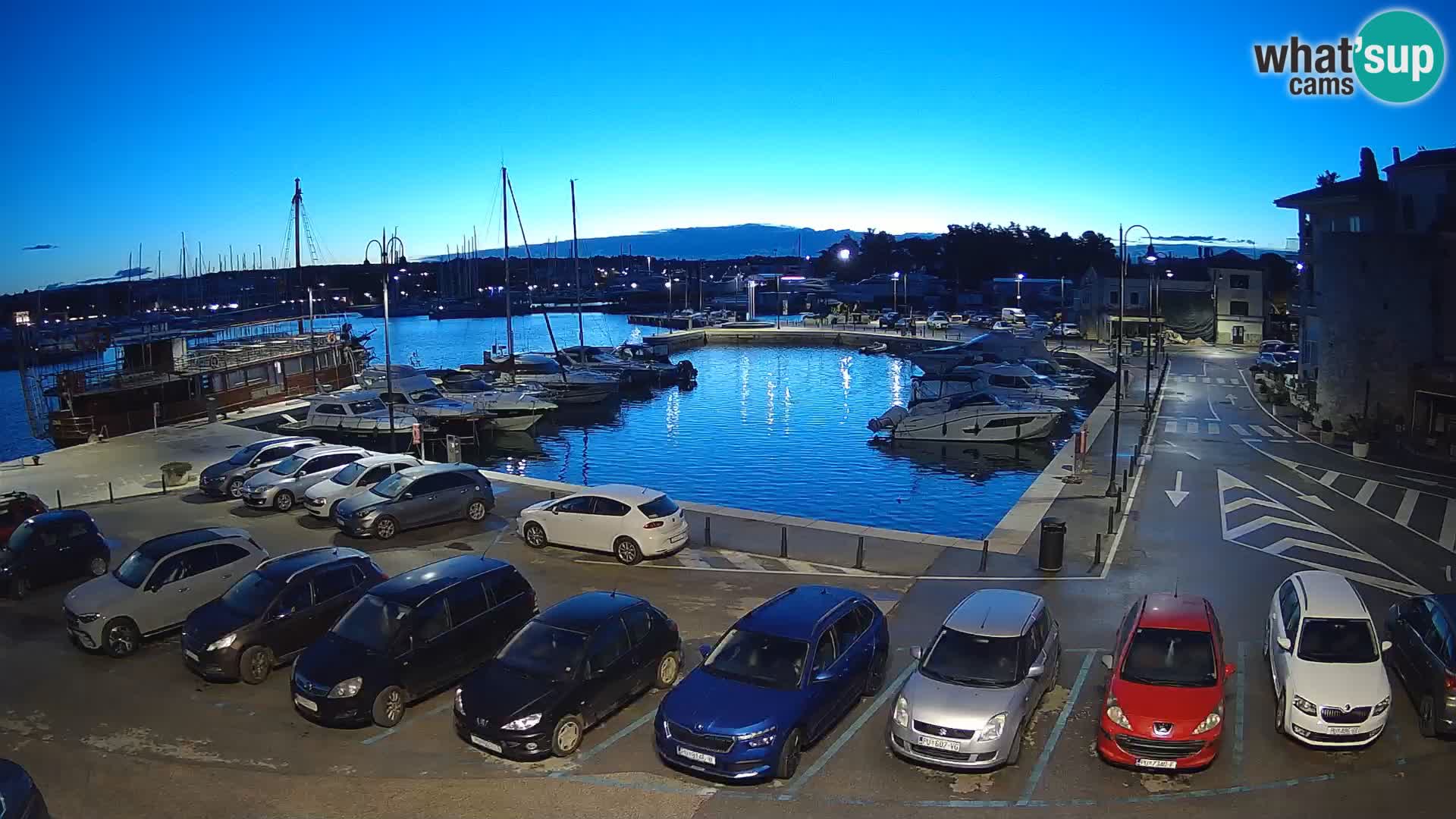 Novigrad | Porporela marina