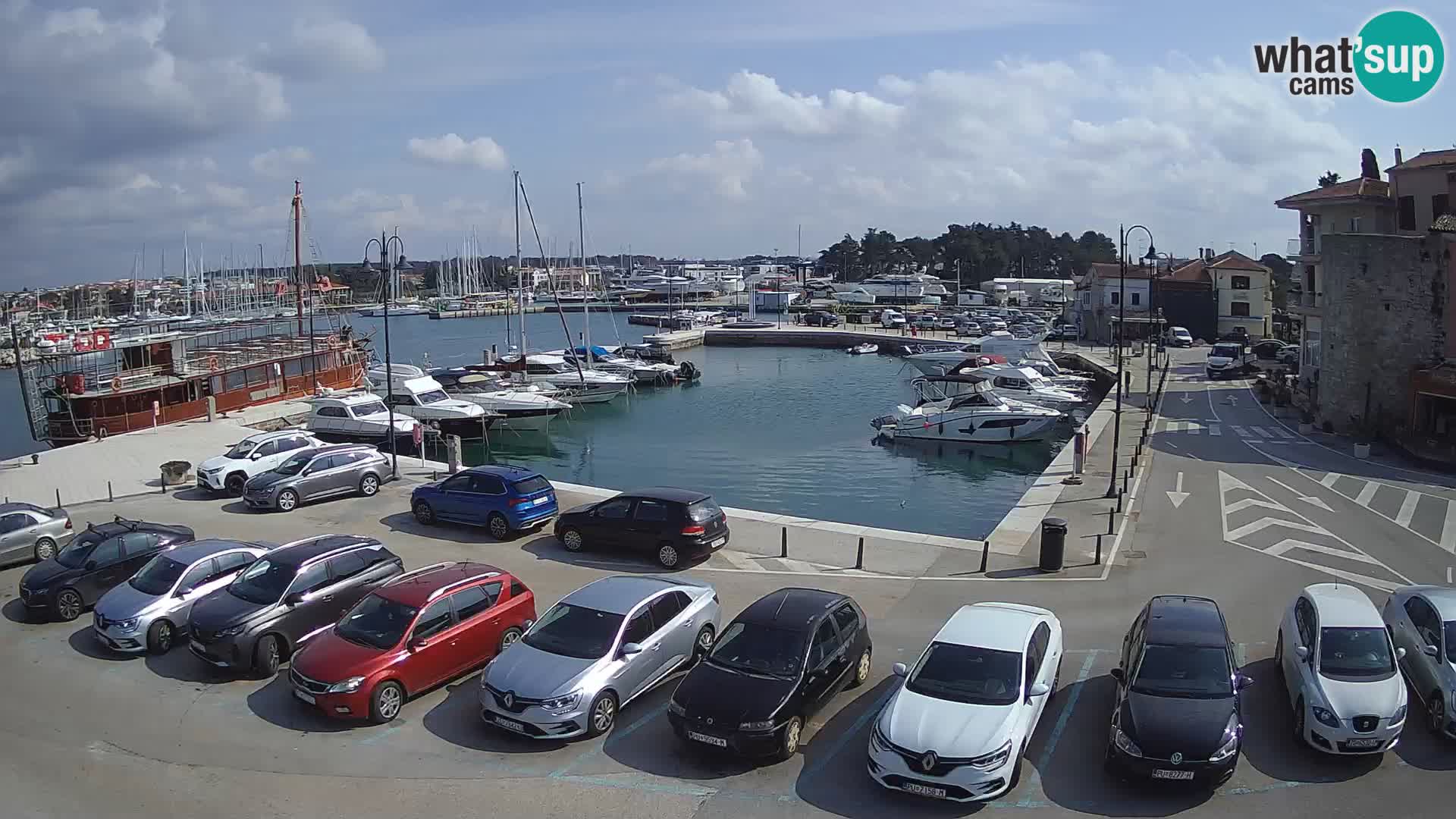 Novigrad | Porporela marina