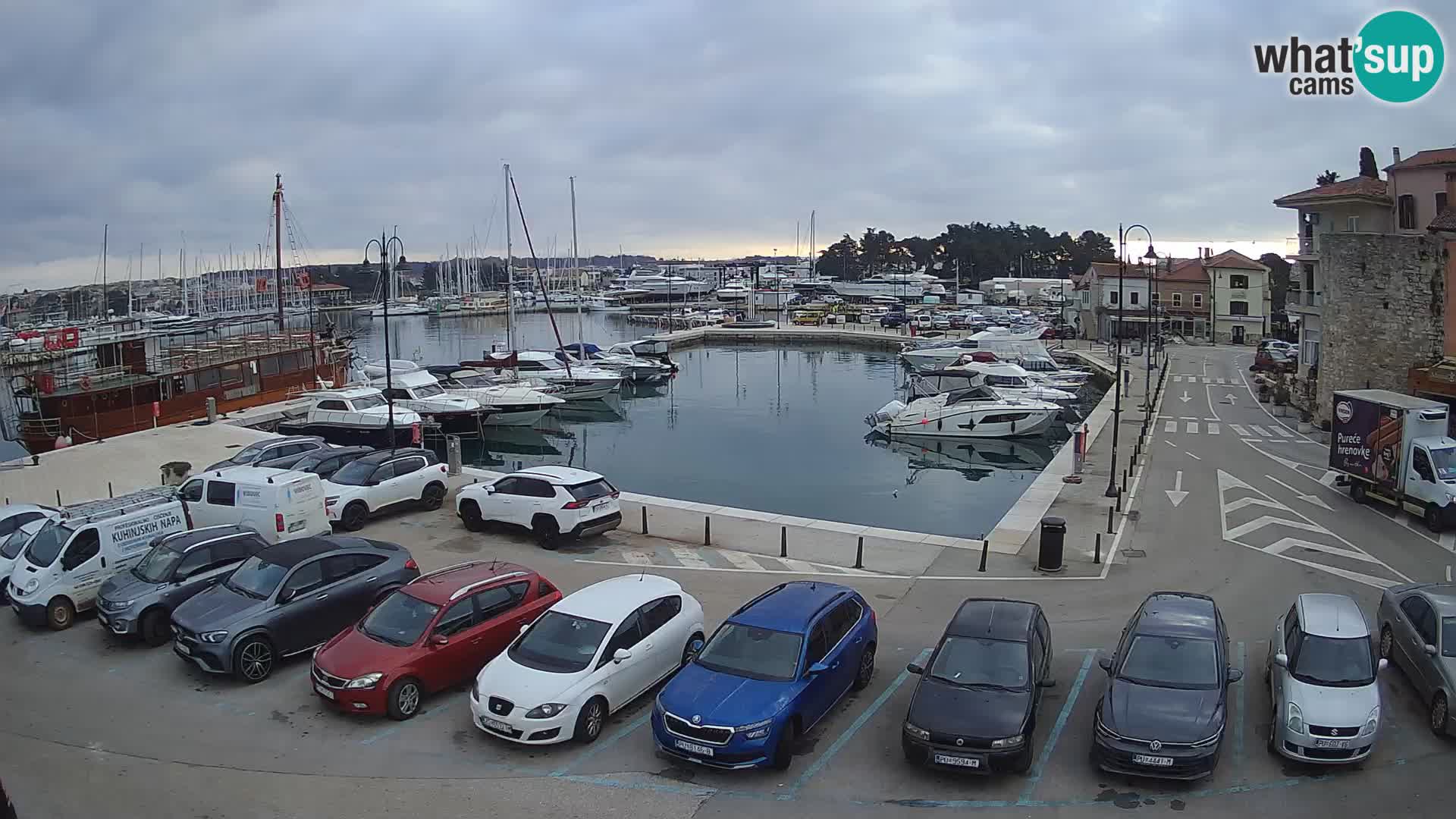 Novigrad | Porporela marina