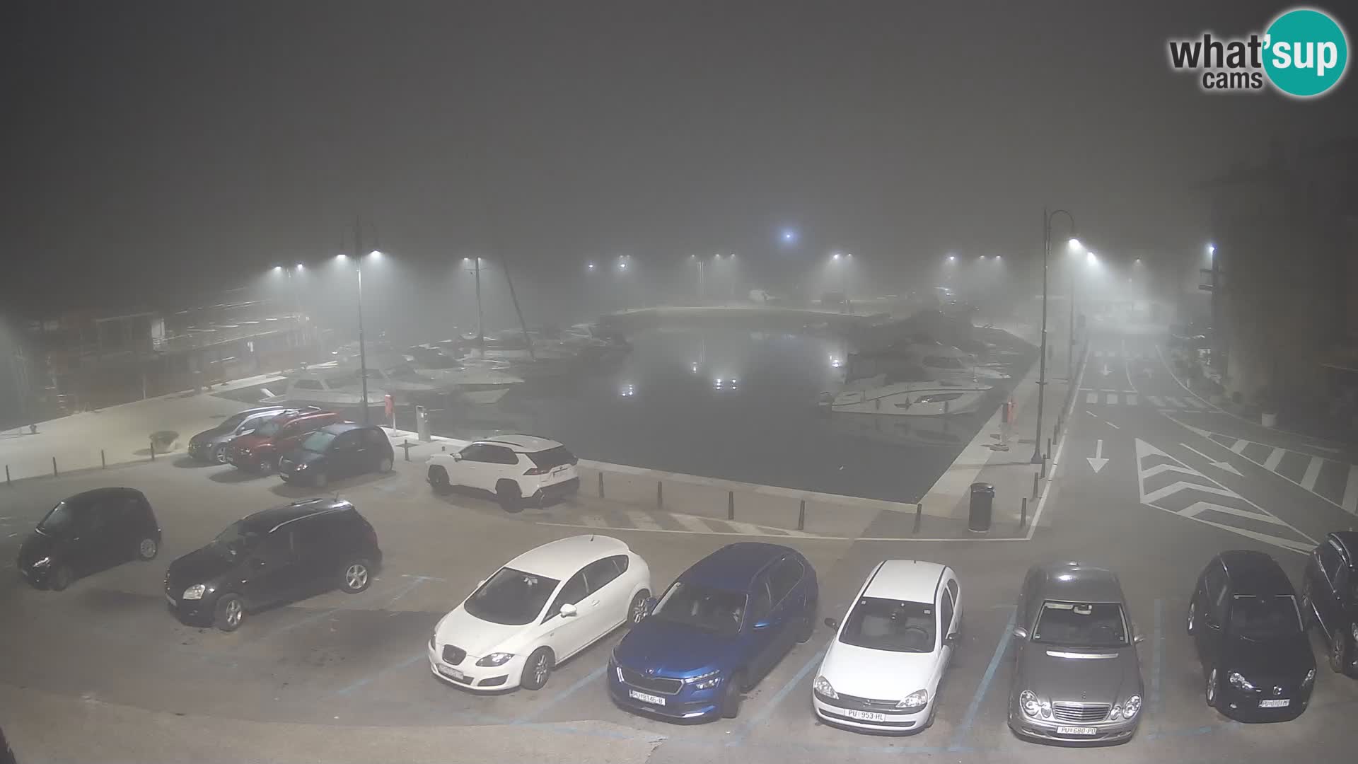 Novigrad | Porporela marina