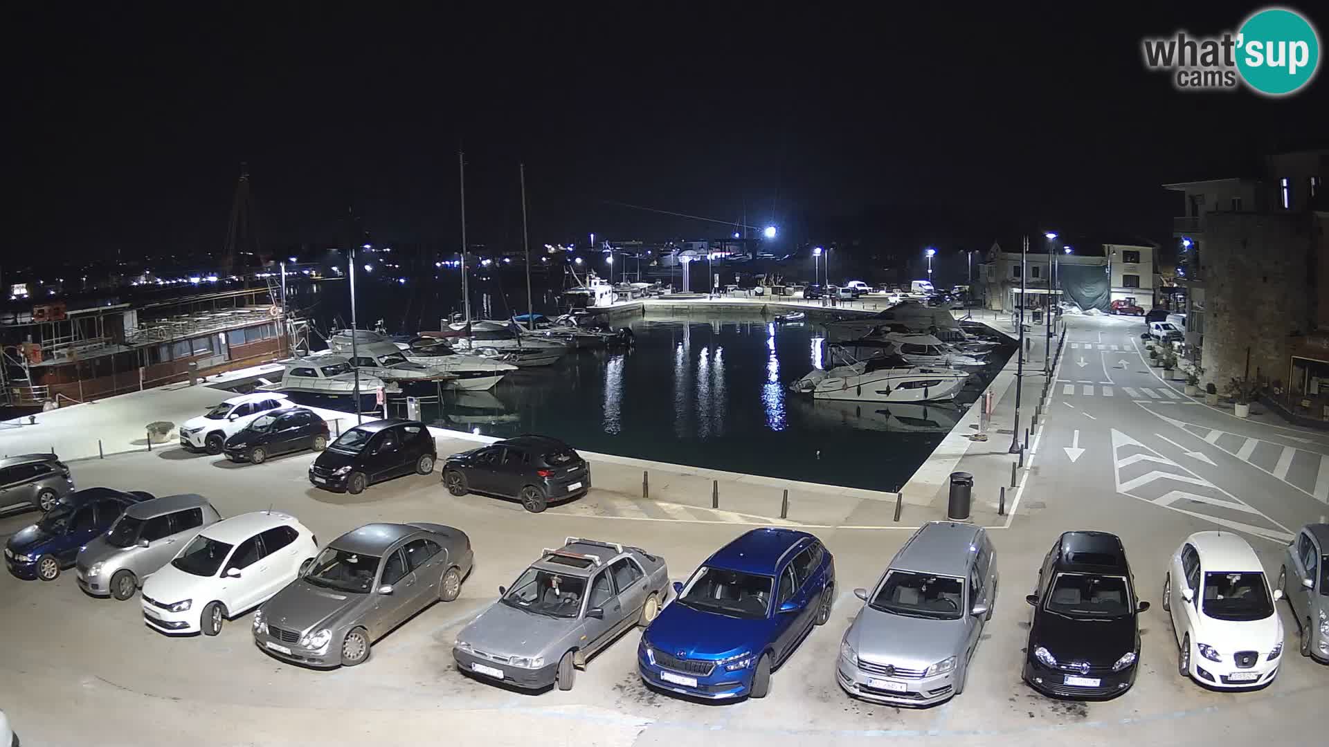 Novigrad | Porporela marina