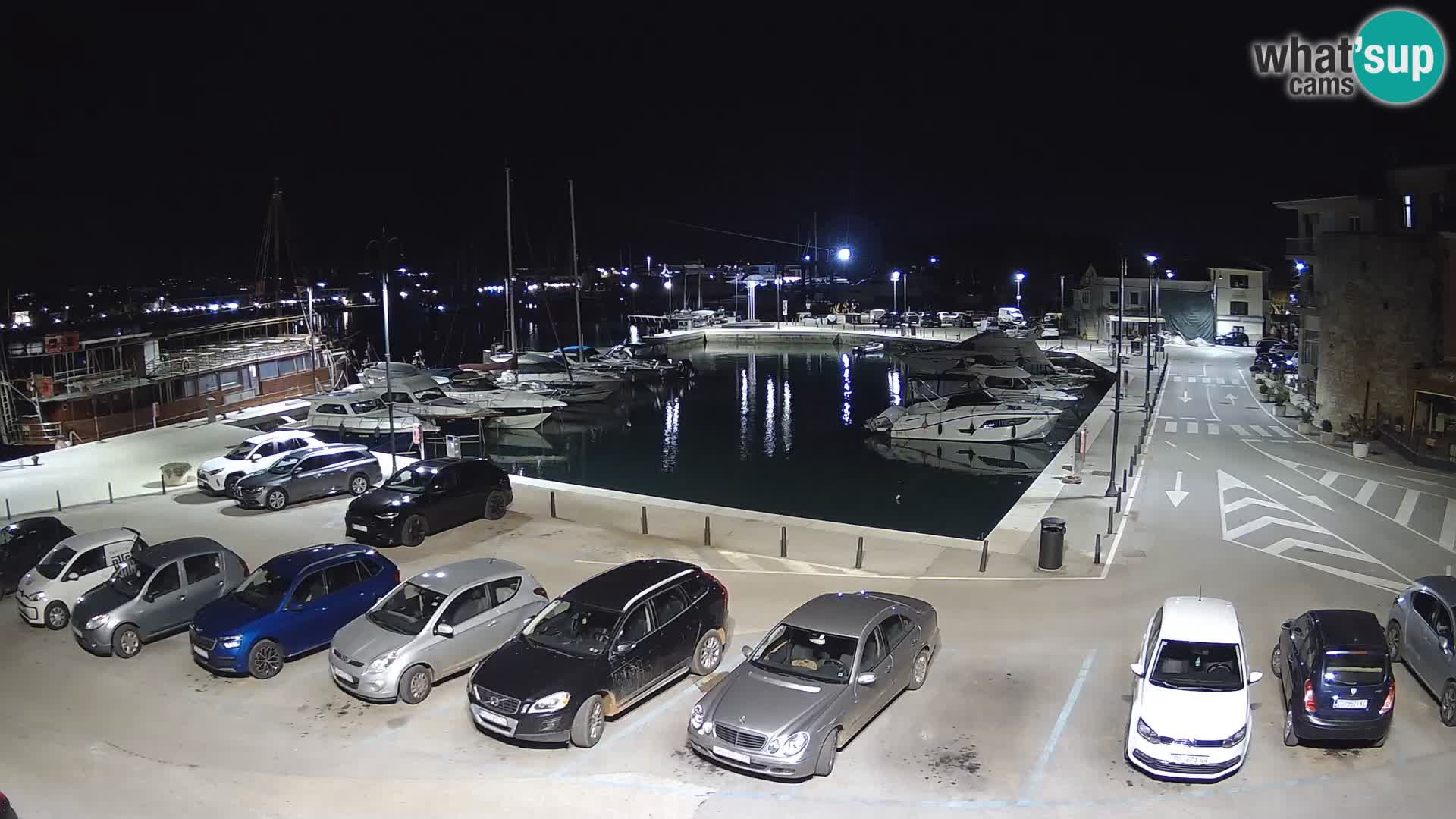 Novigrad | Porporela marina