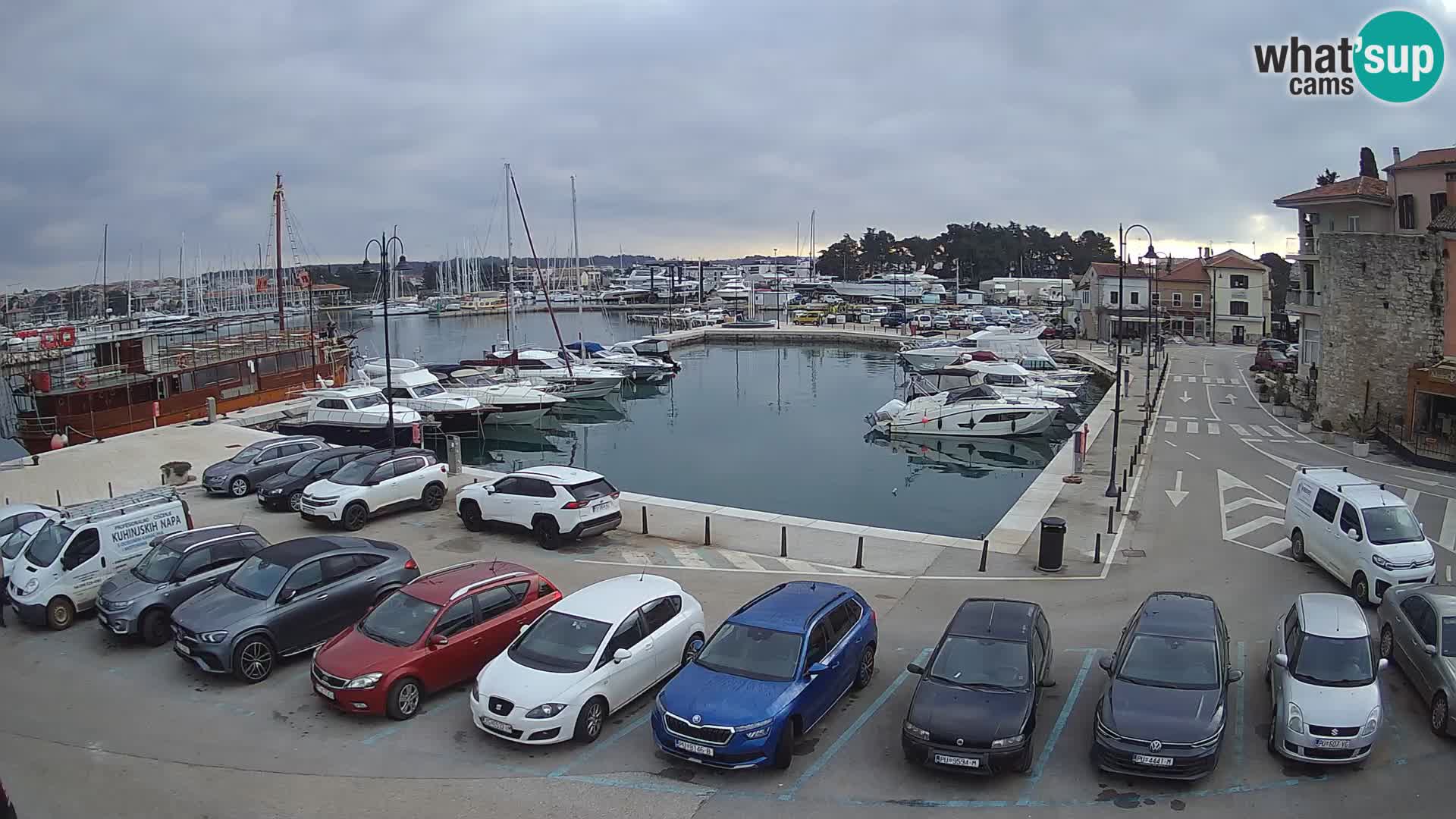 Novigrad | Porporela marina