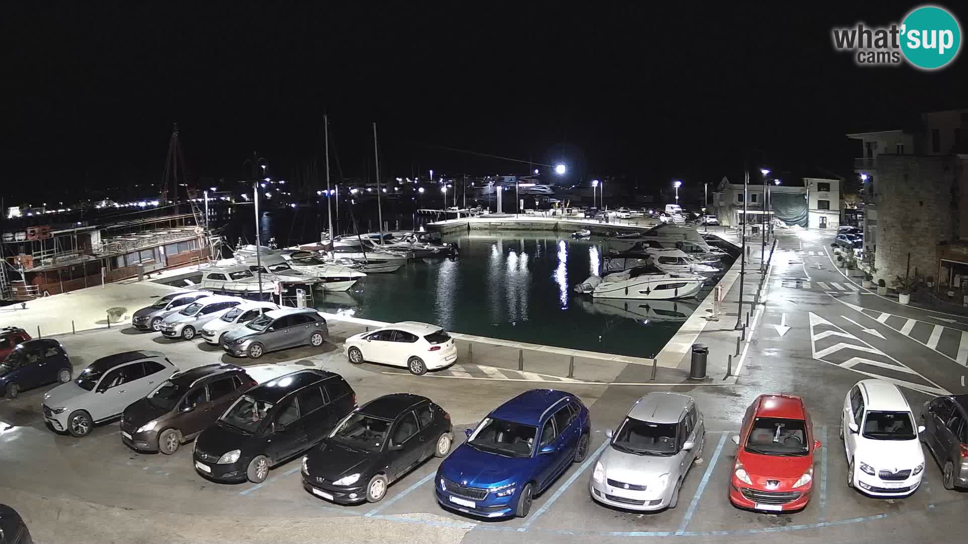 Novigrad | Porporela marina