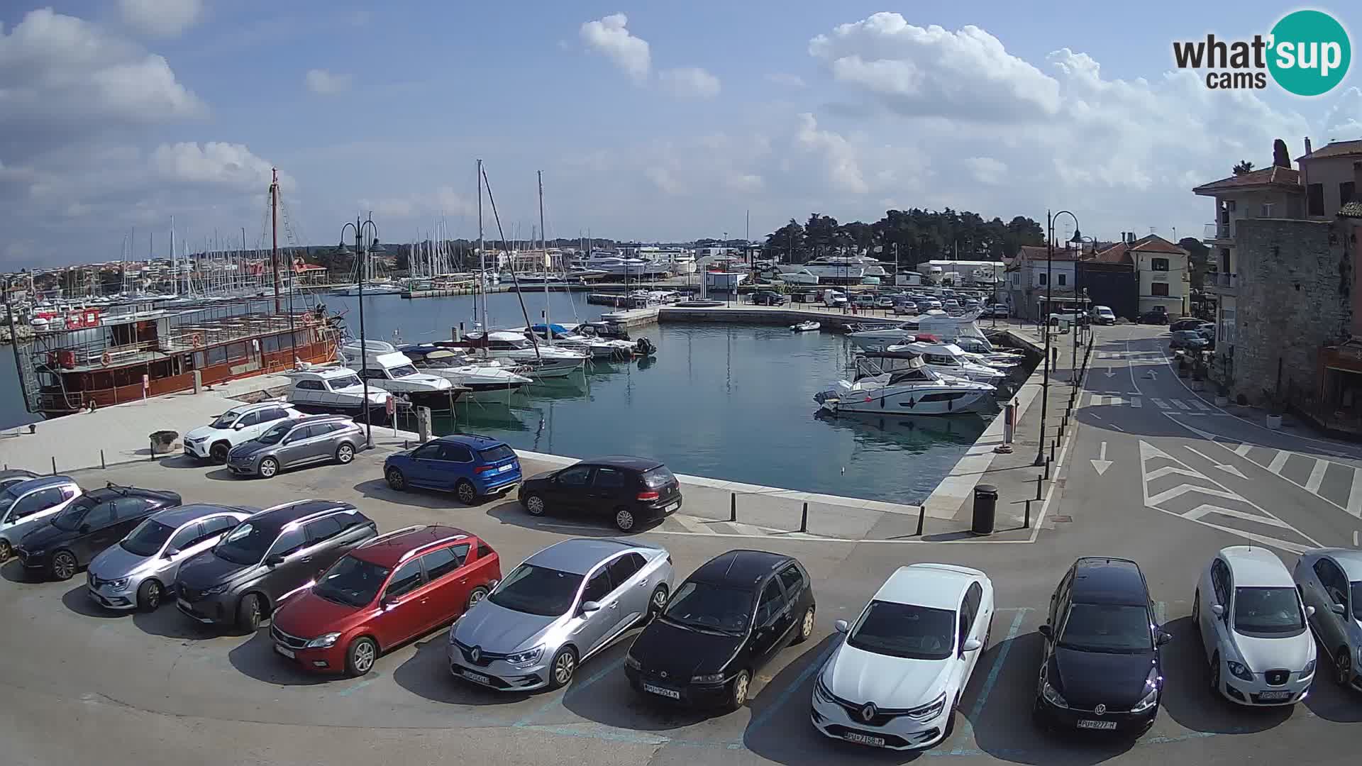 Novigrad | Porporela marina