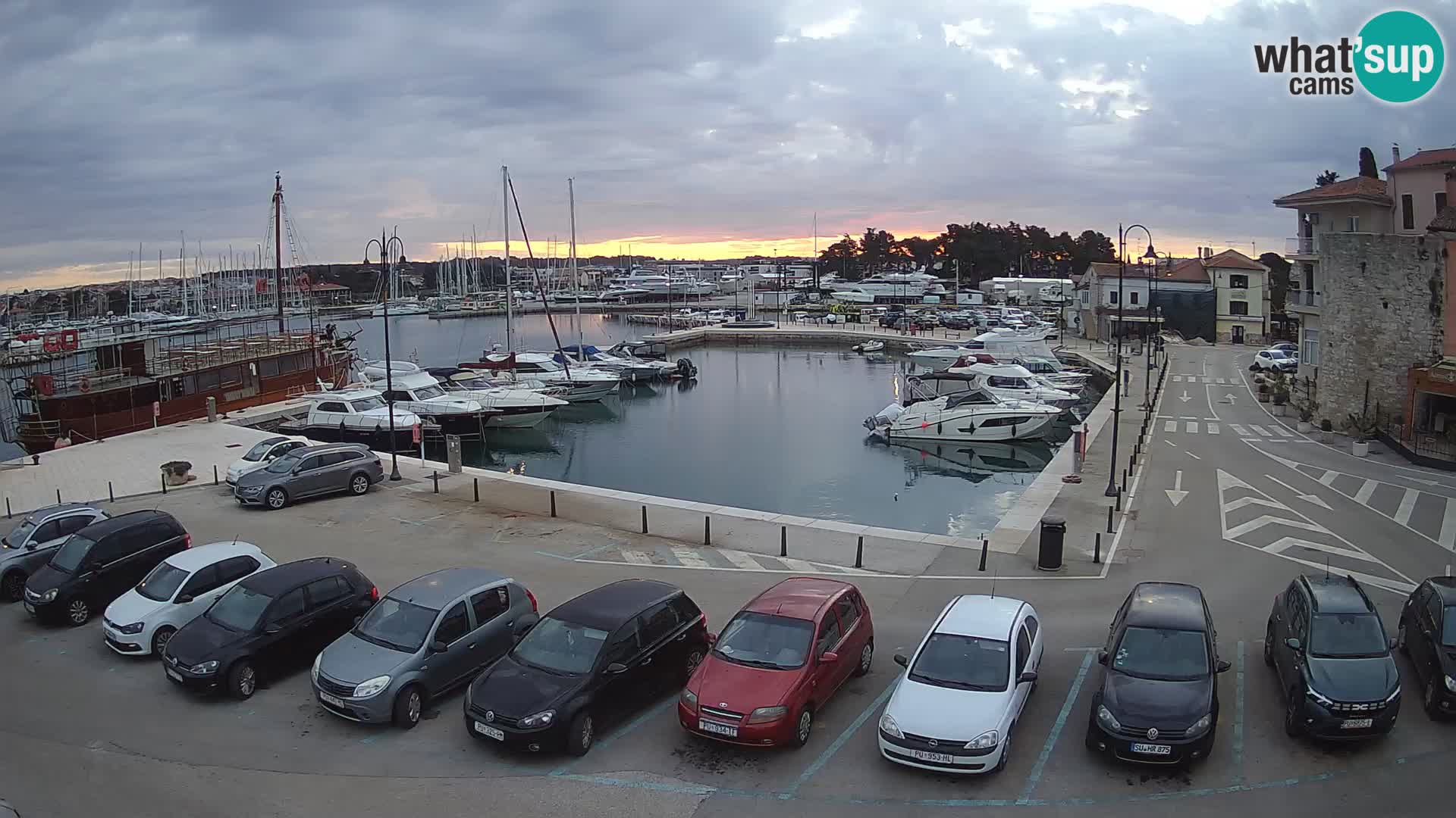 Novigrad | Porporela marina
