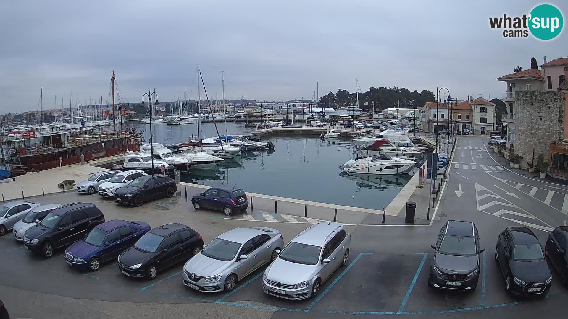 Novigrad | Porporela marina