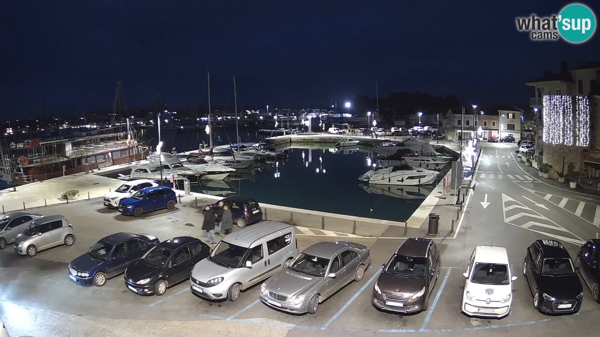 Novigrad | Porporela marina