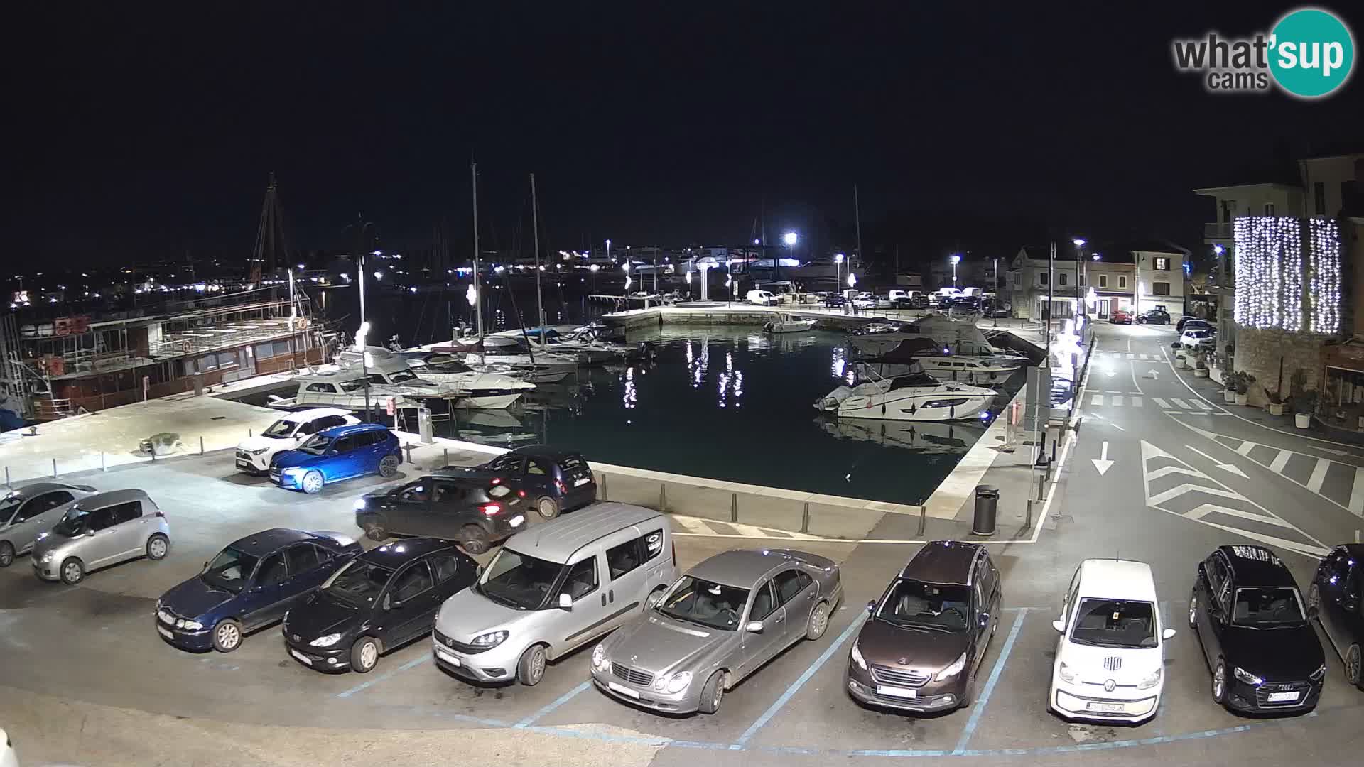 Novigrad | Porporela marina
