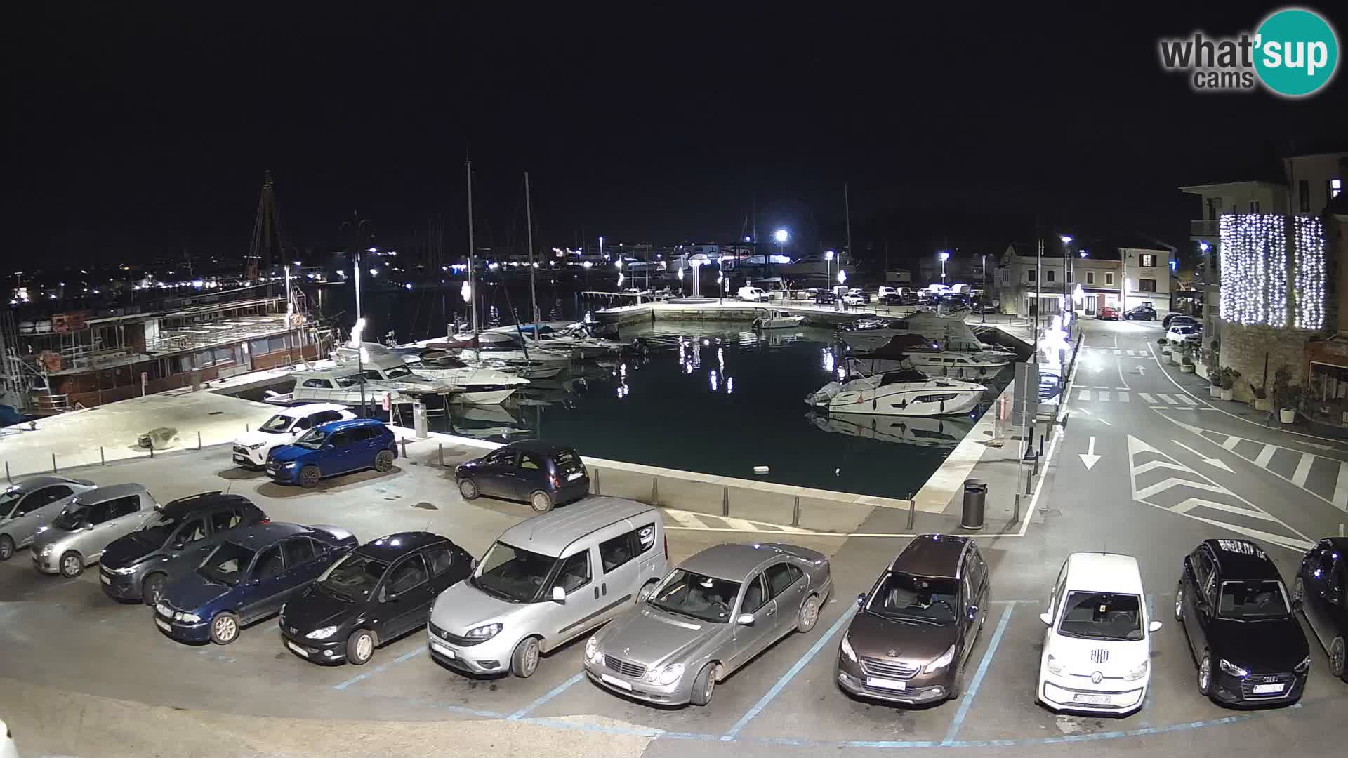 Novigrad | Porporela marina